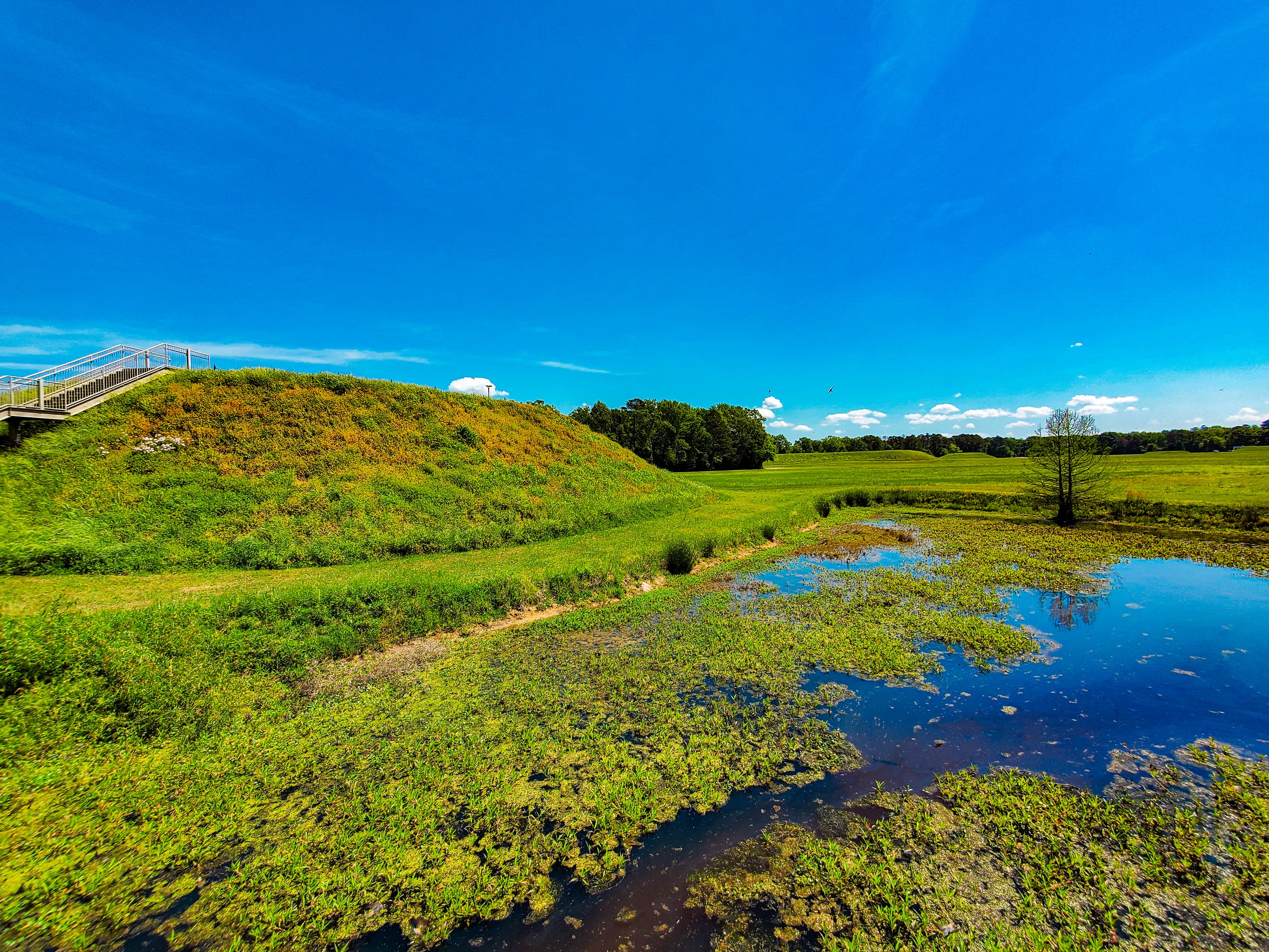 Moundville mound closeup and water.jpg