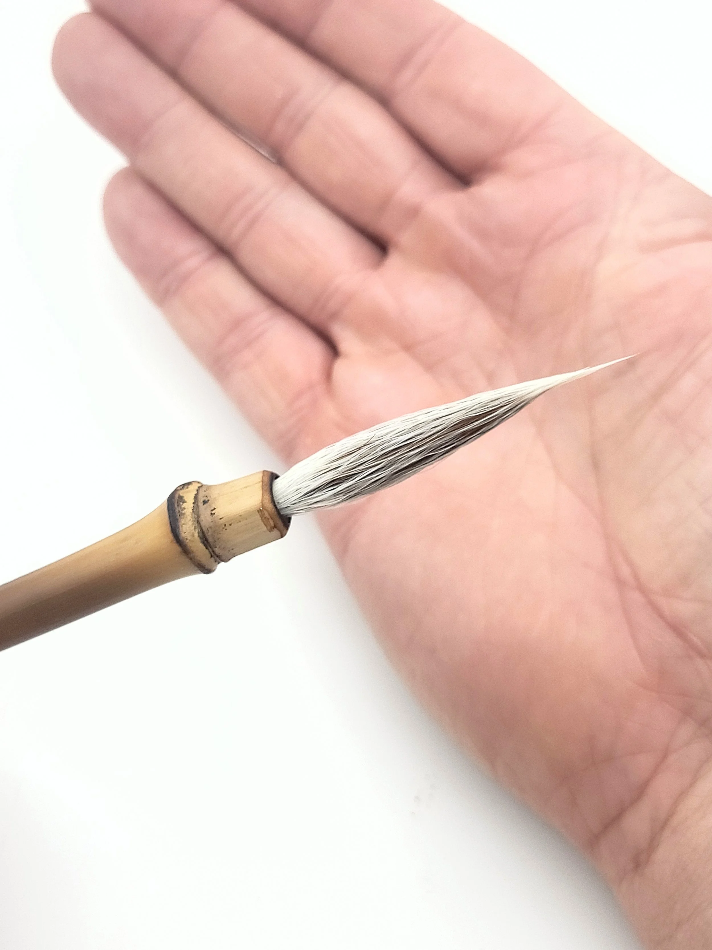 20260720_142624.jpg