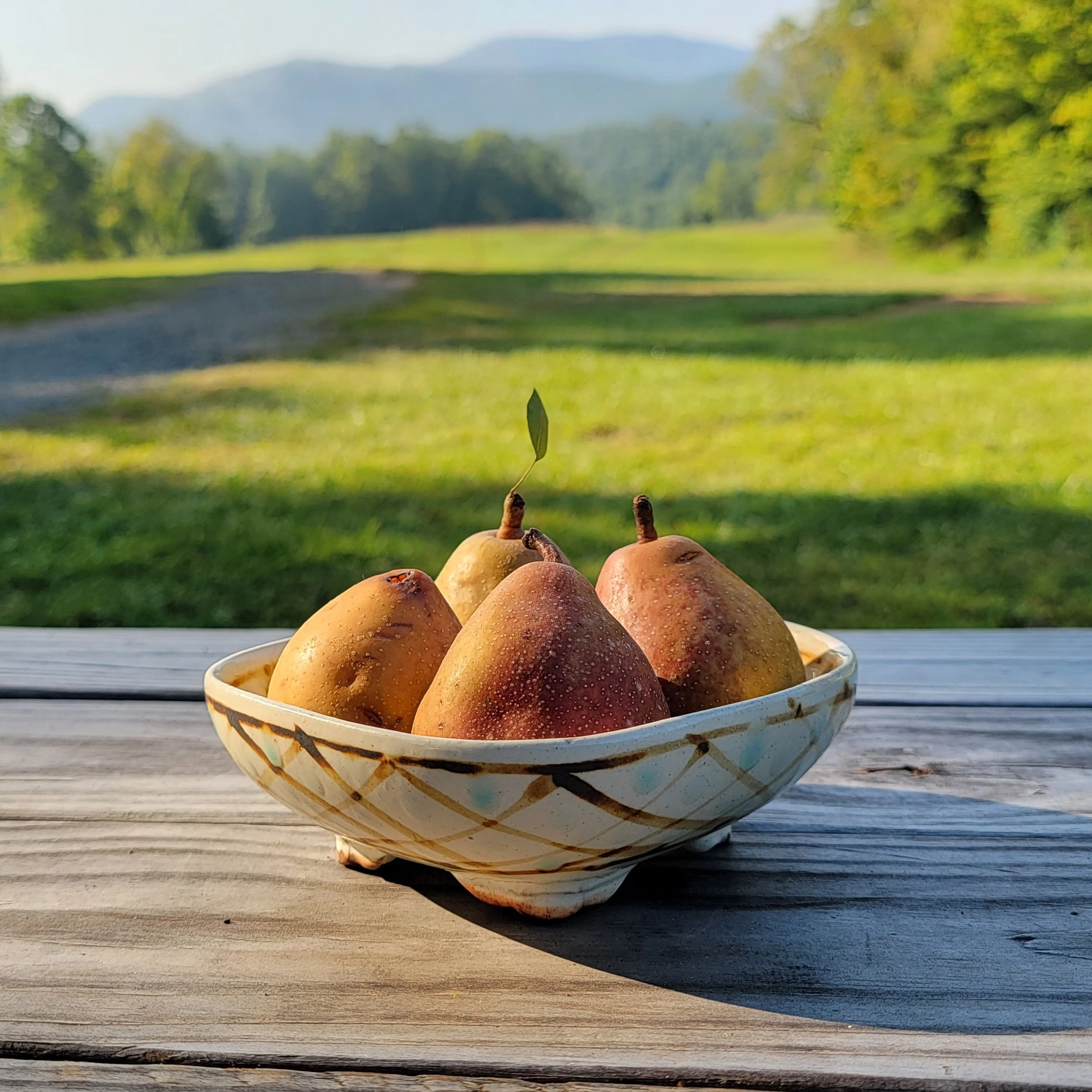 A bowl of fresh pears sitting on a wooden table outdoor with a scenic mountain landscape and lush green trees in the background.