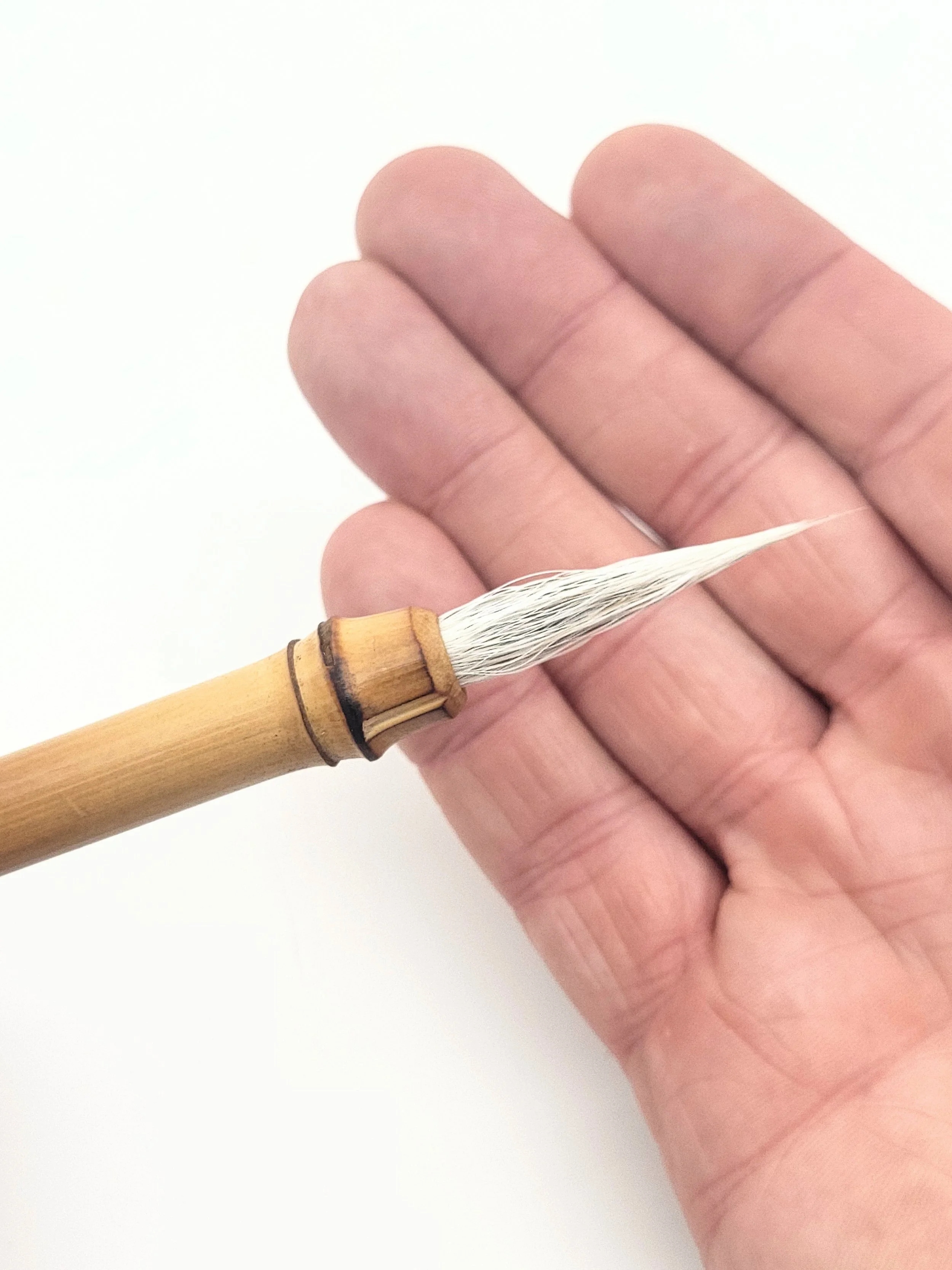 20260720_141716.jpg