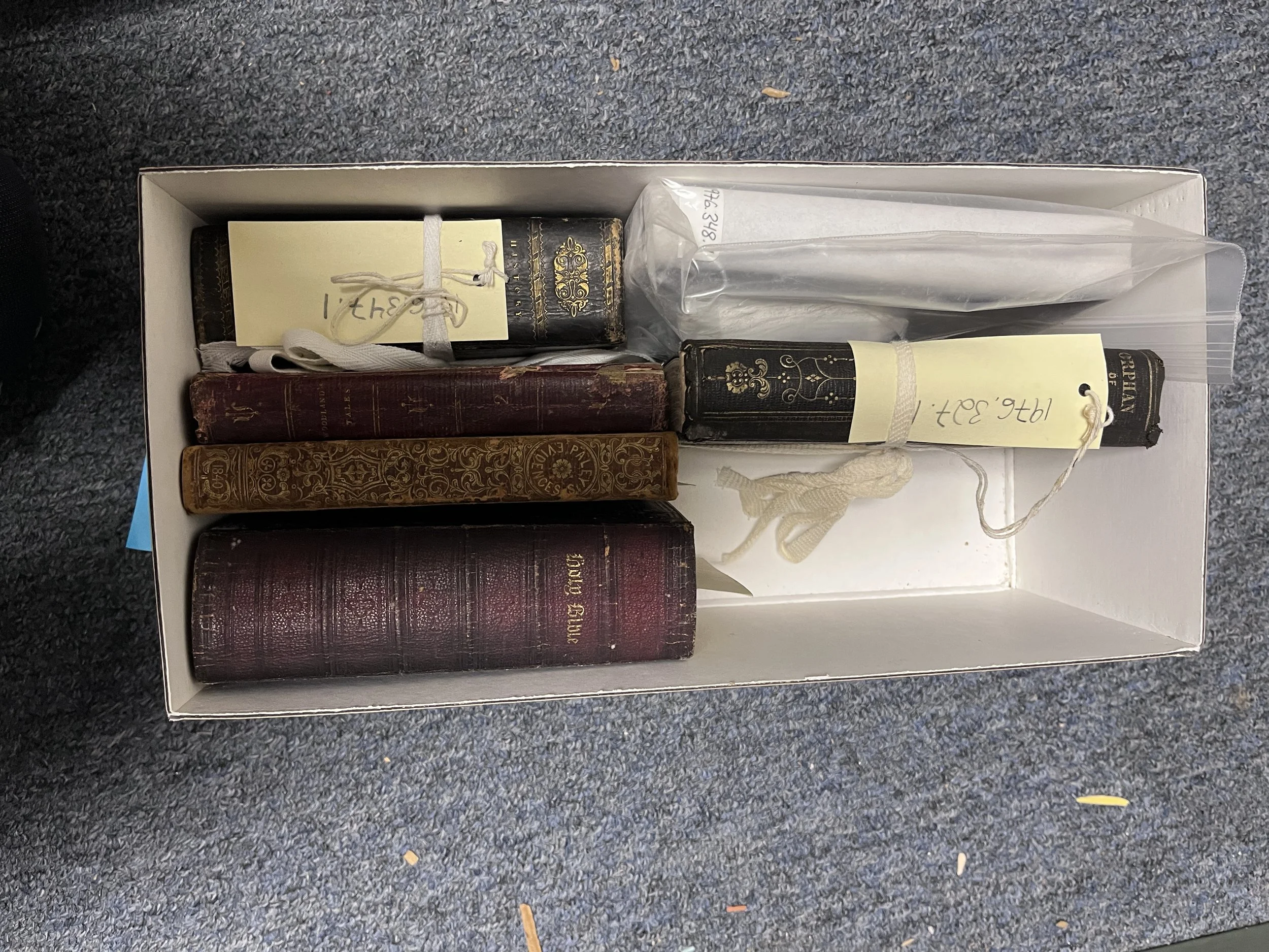 latest projects