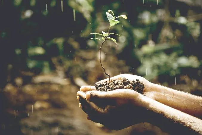 Stewardship 