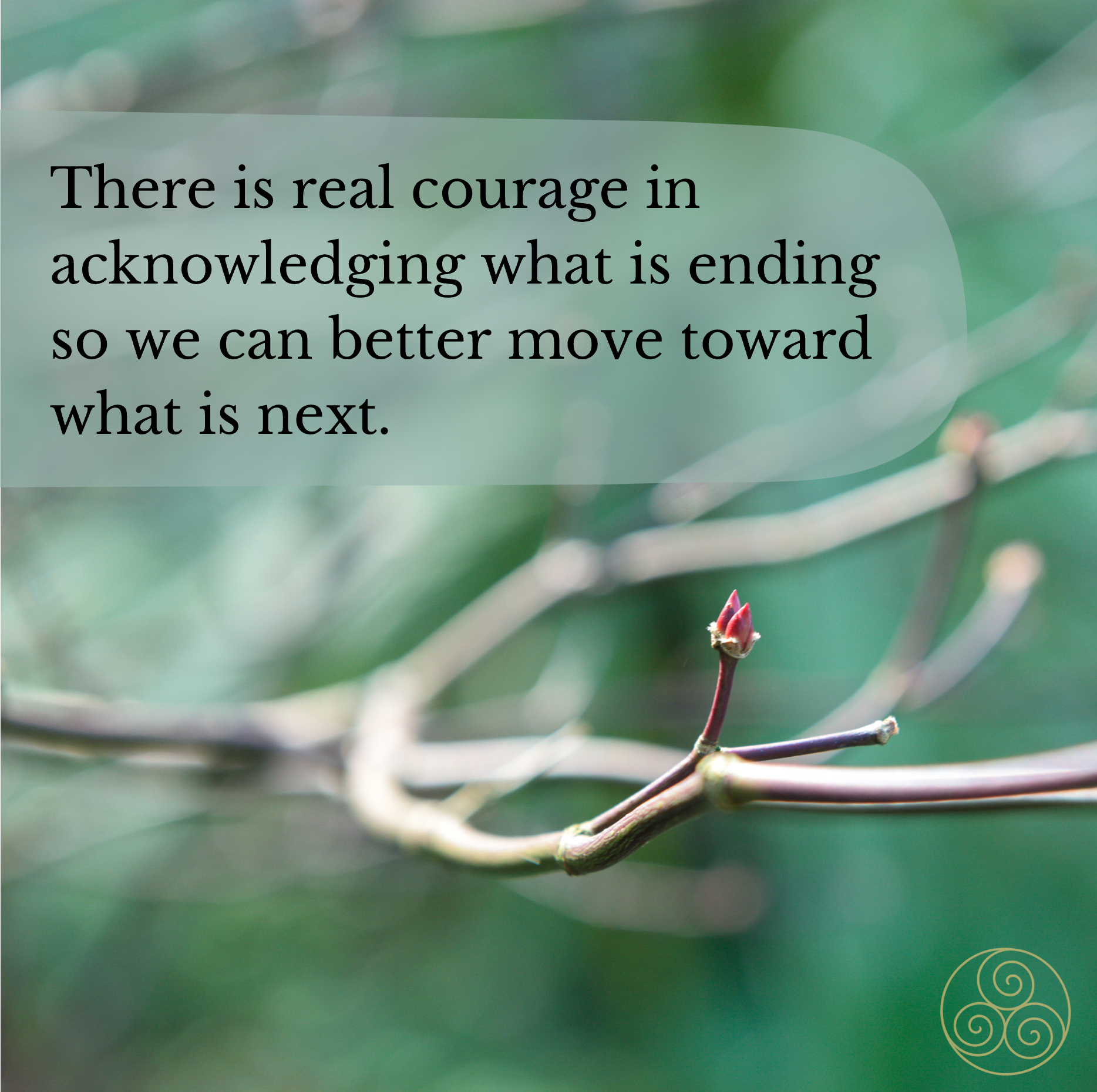 Staying With the Discomfort of Change