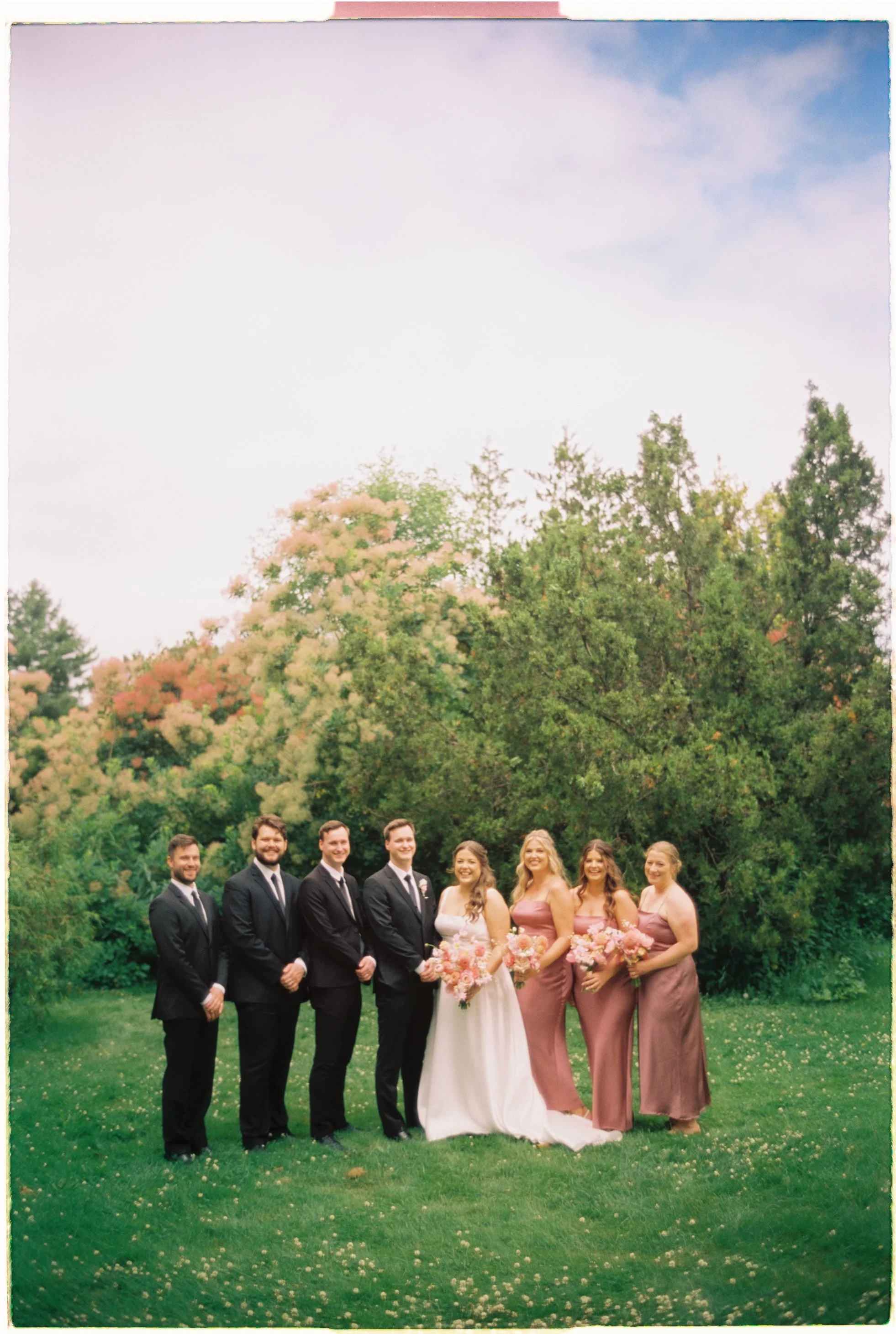 A wedding party standing outdoors on grass with trees and a cloudy sky in the background. The groom and groomsmen are in black suits, and the bride and bridesmaids are in pink dresses, all holding bouquets.