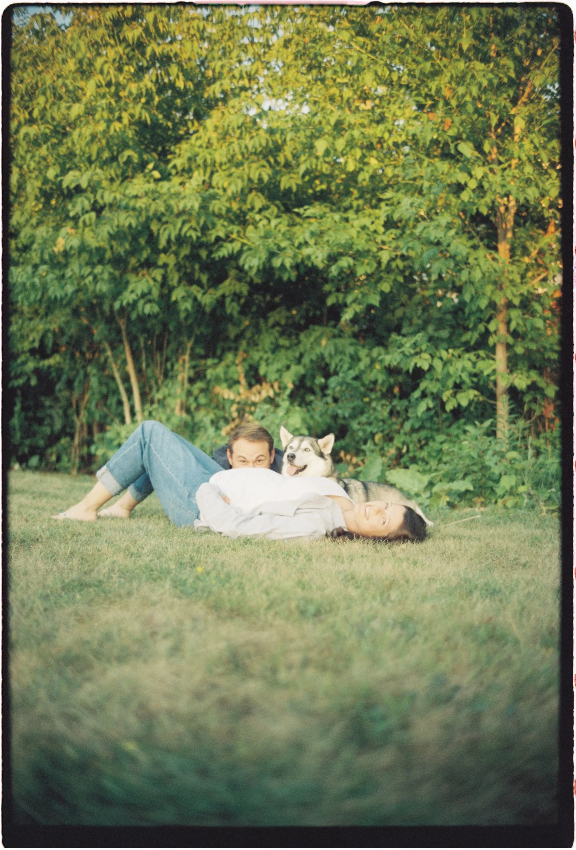 Ottawa Wedding Photo, film wedding, Kodak wedding, 35mm wedding A man, woman, and husky dog lying on the grass in front of green bushes. The man is lying on his side, the woman is lying on her back, and the dog is sitting upright with its tongue out.