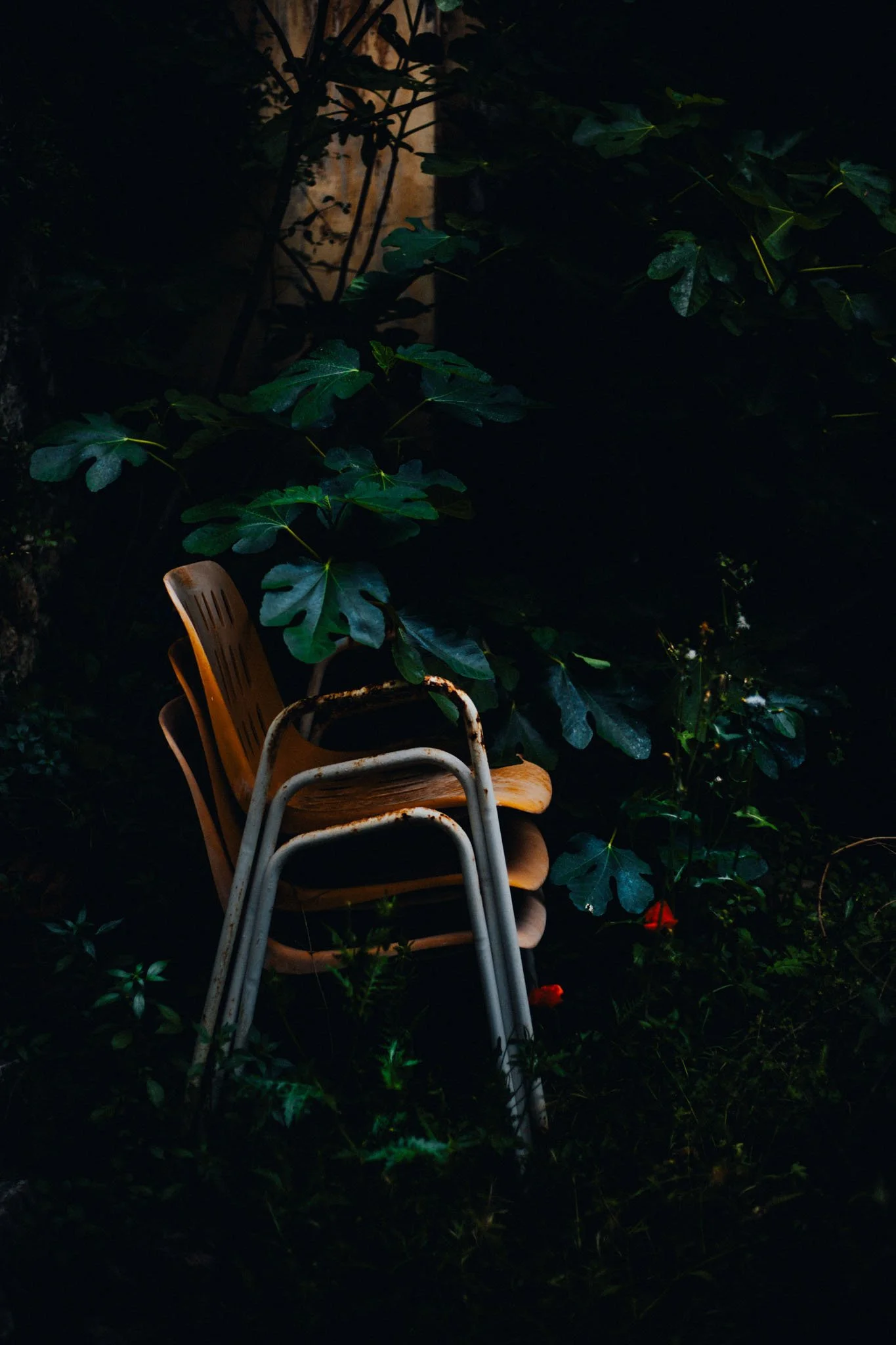 5Z9A0278-2.jpg