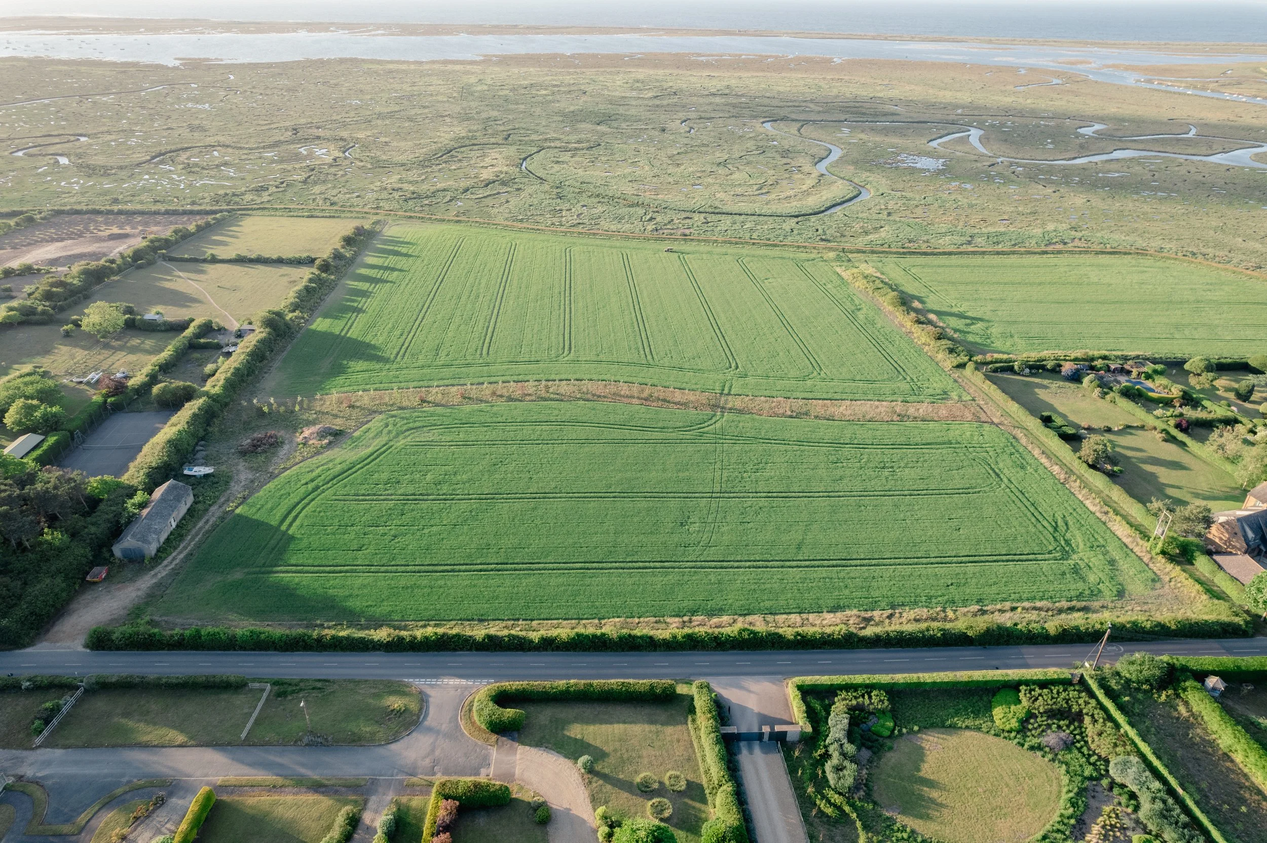 BB Land Aerial.jpg