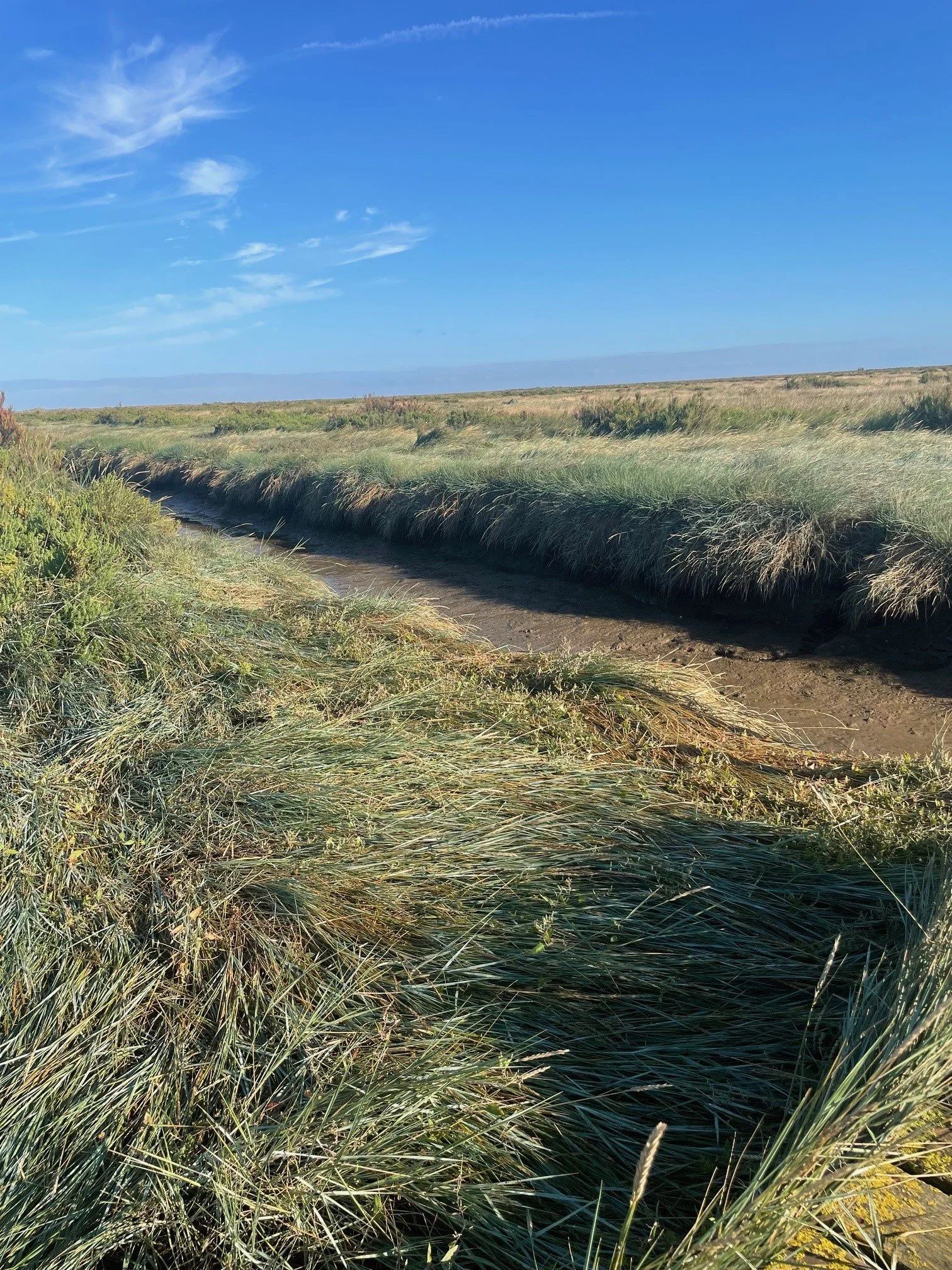 AF Agar Creek 1.jpg
