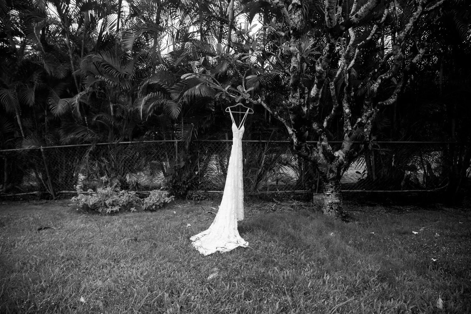 NYC NJ editorial timeless documentary wedding photographer