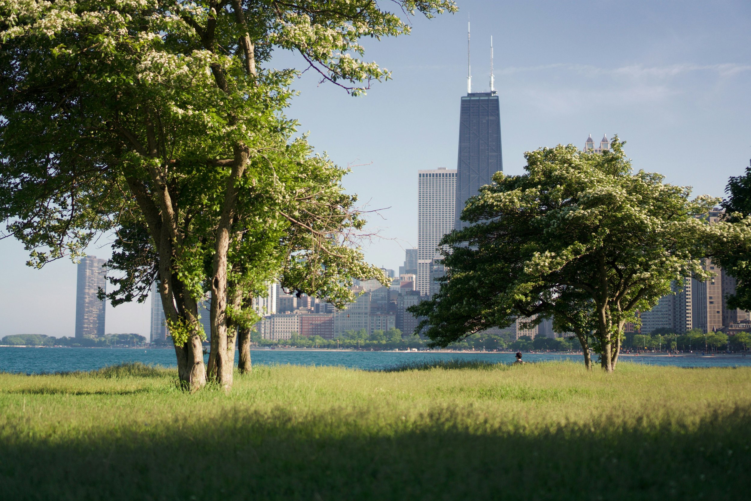 Park with green grass and trees in foreground, city skyline with tall buildings including a prominent skyscraper in the background.