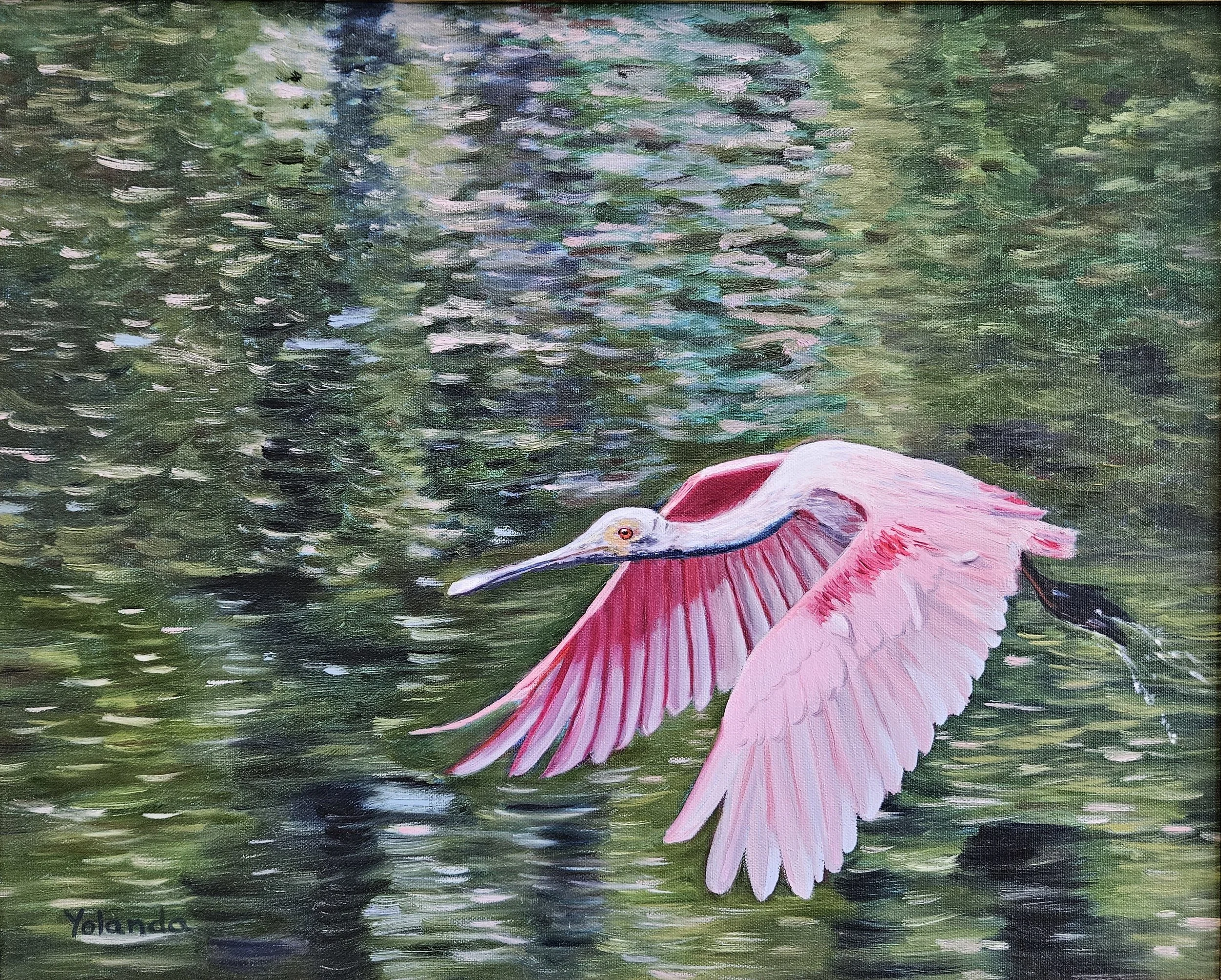 Roseate Spoonbill ©

