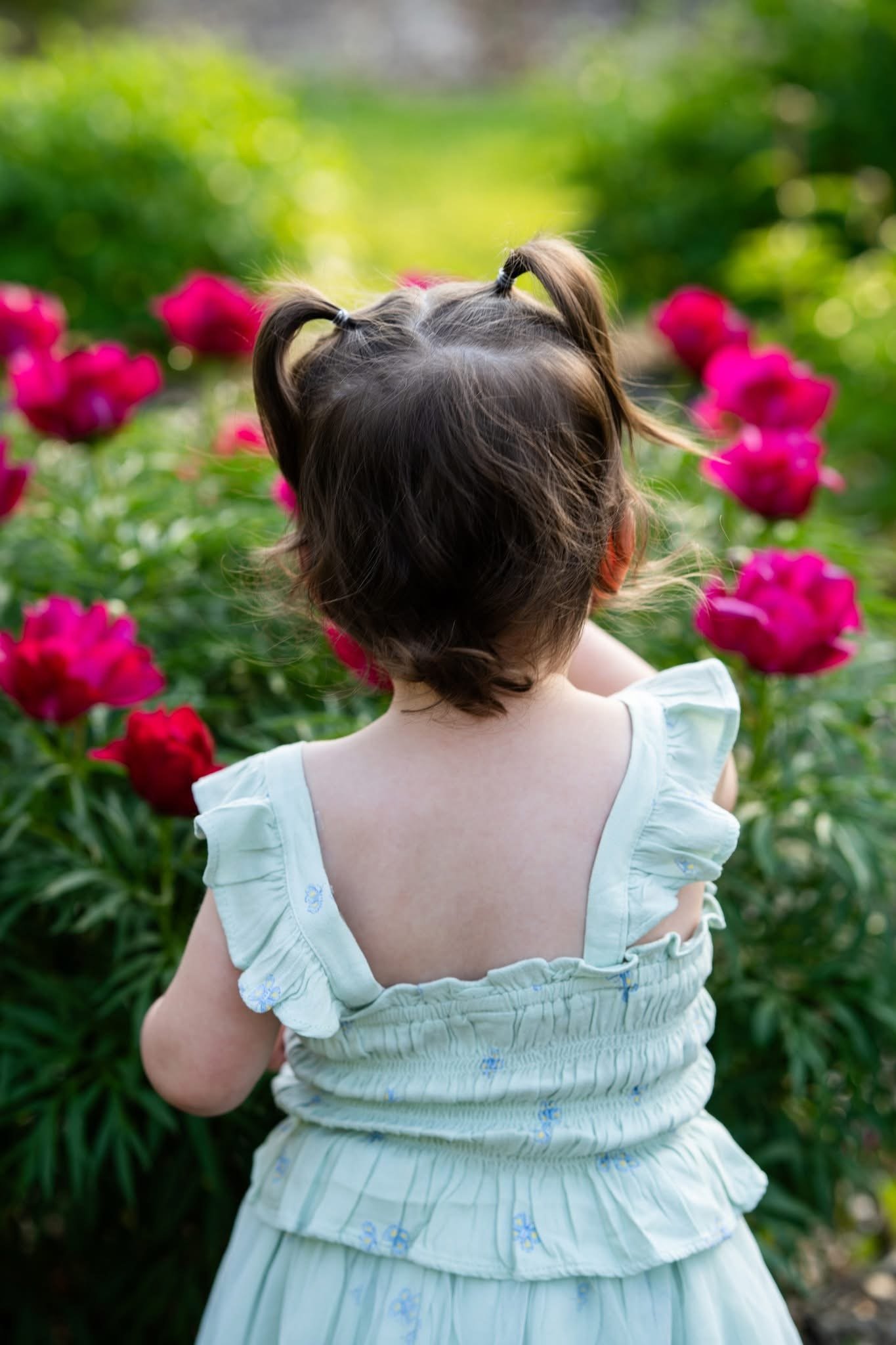 Best family photographer near me