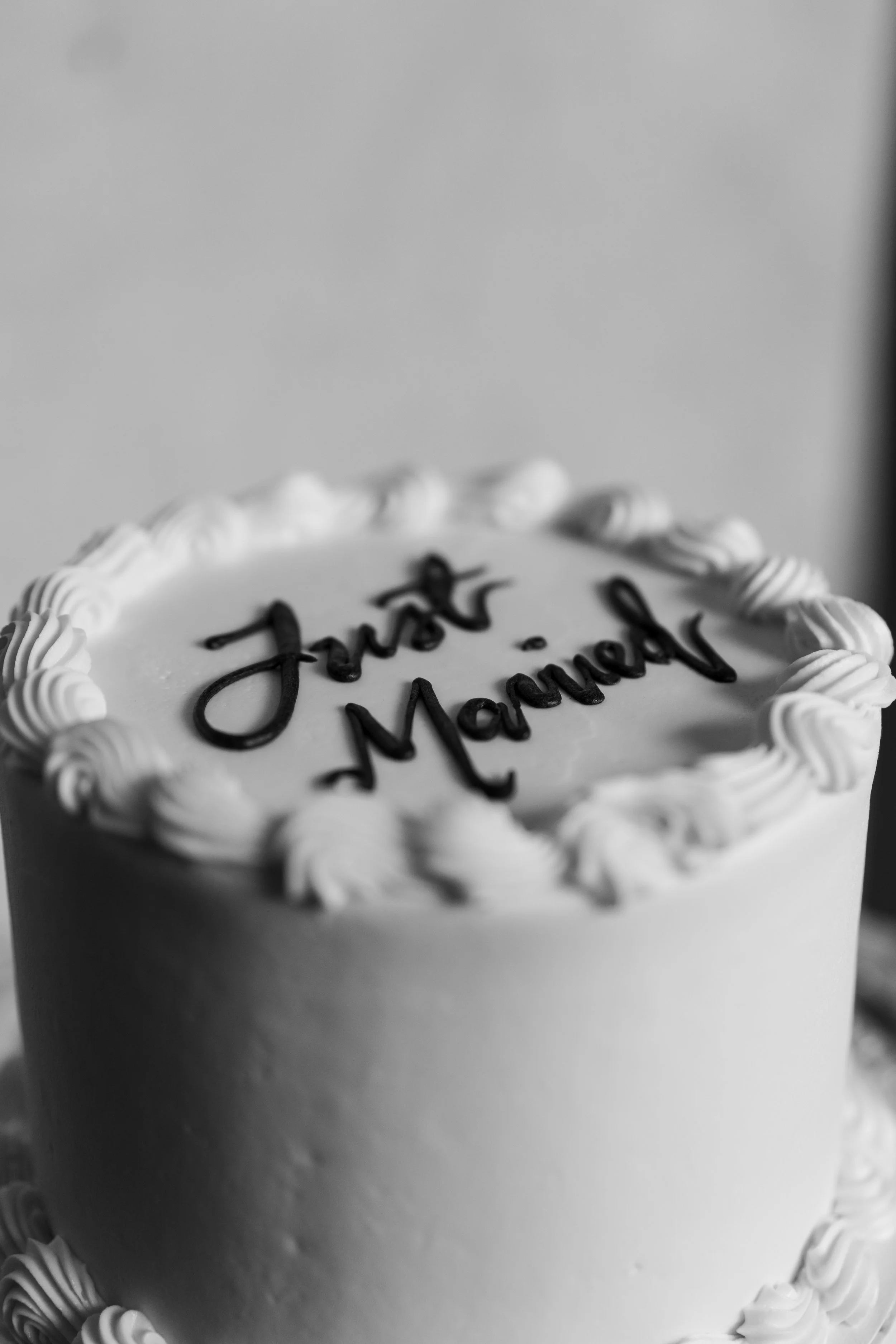 Cinematic Wedding Photographer Grand Rapids Michigan
