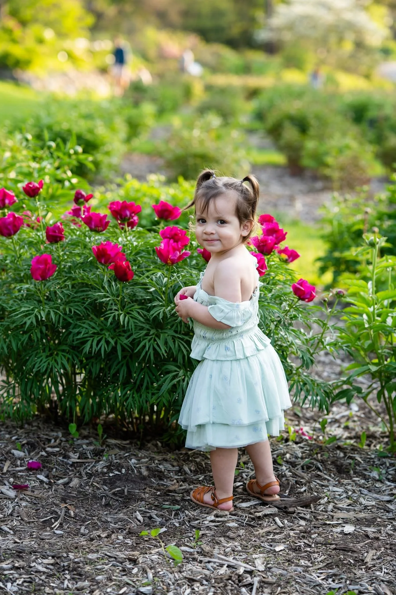 best family photographer Lansing