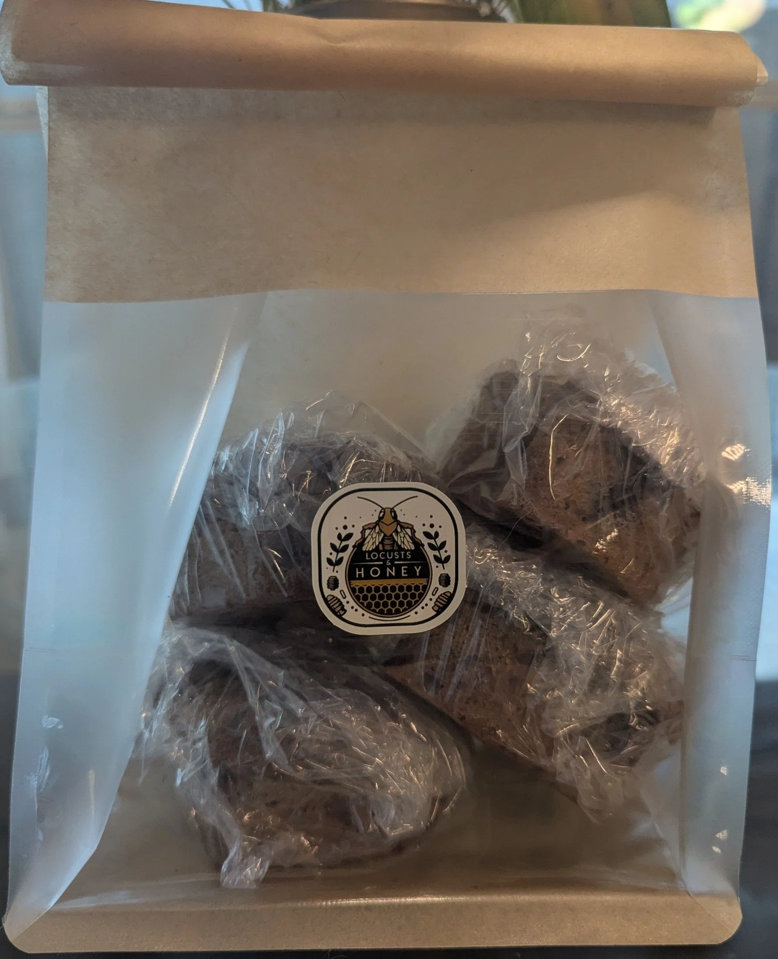 BB muffins in bag.jpg