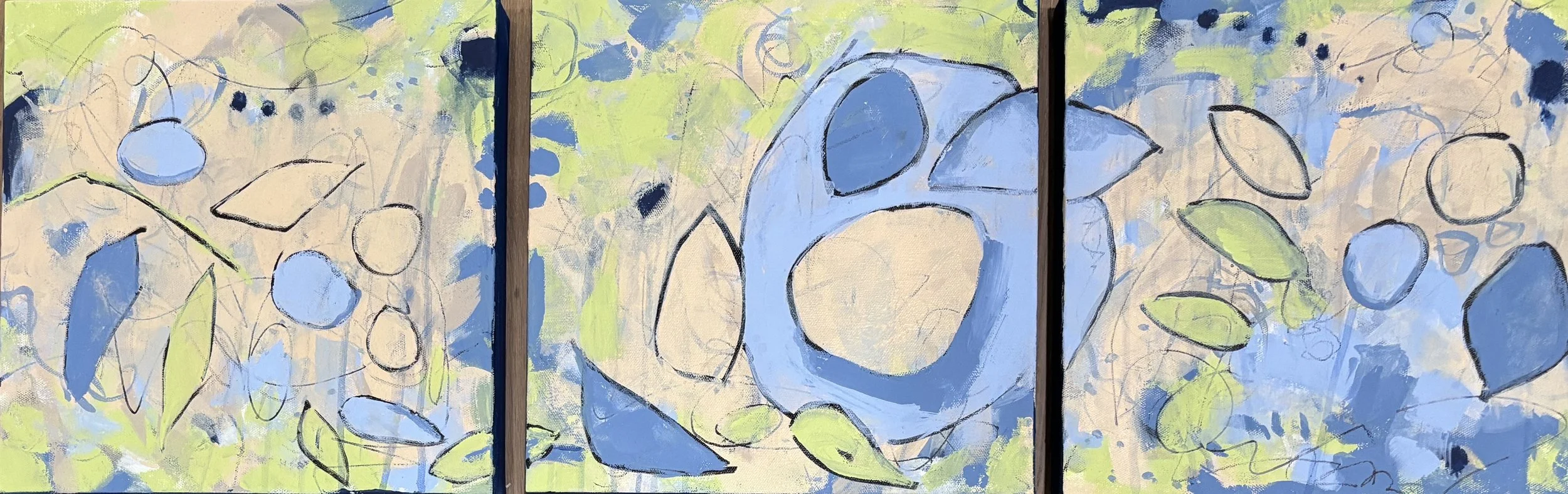 Spring Game      (3) 12