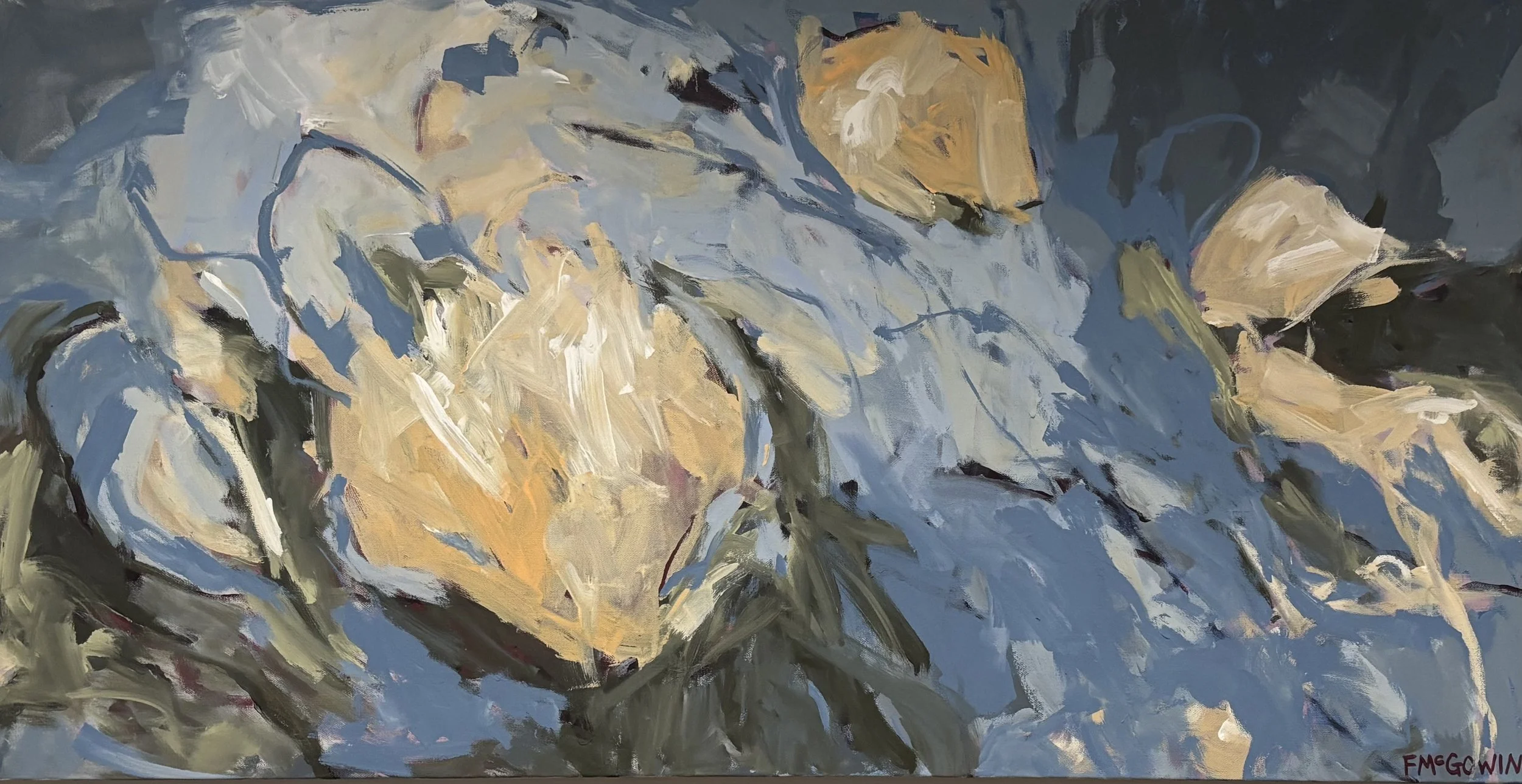 Early Light Bloom  24 X 48