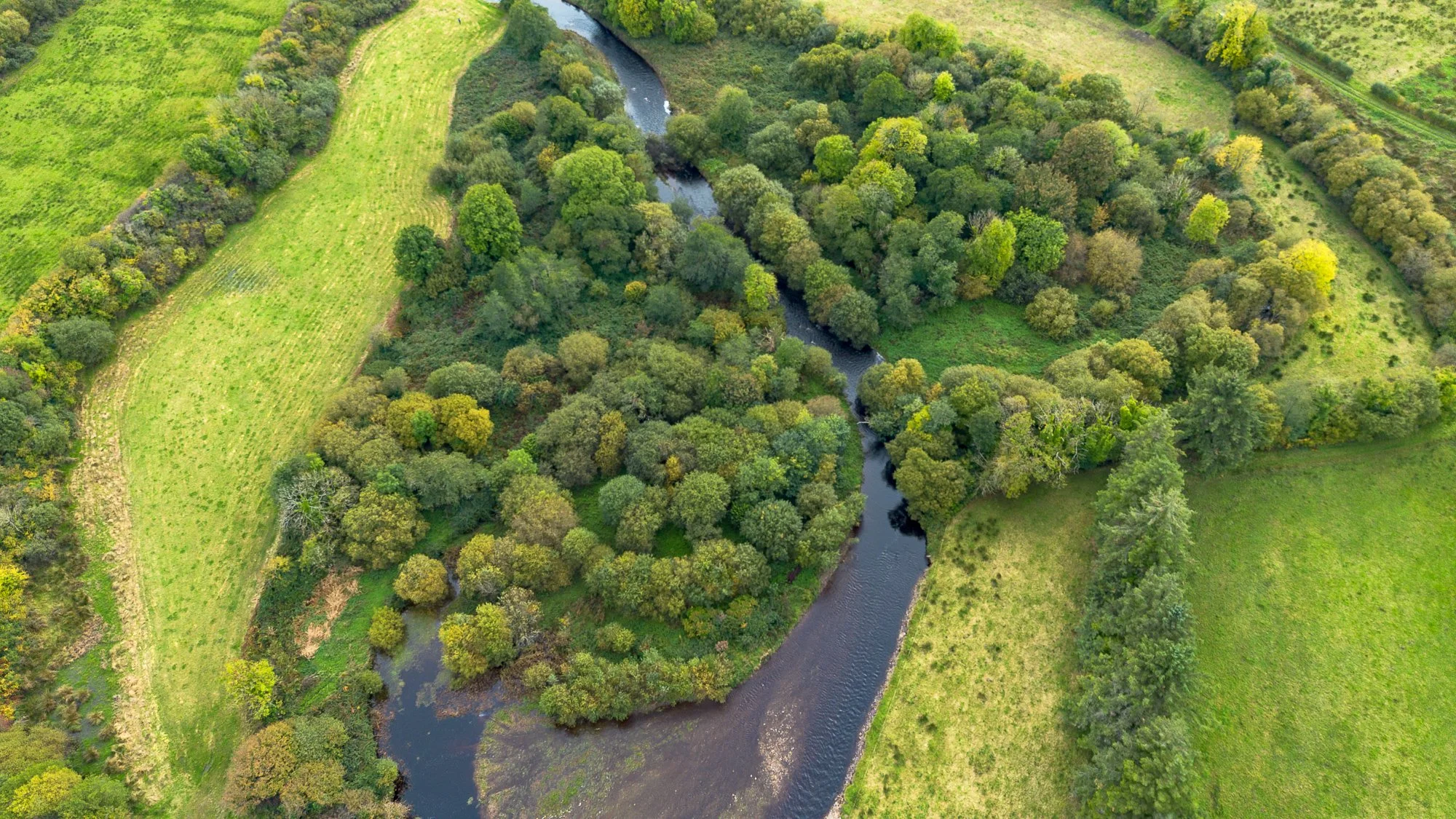 Aerial view of a winding river flowing through lush green trees and fields on either side.