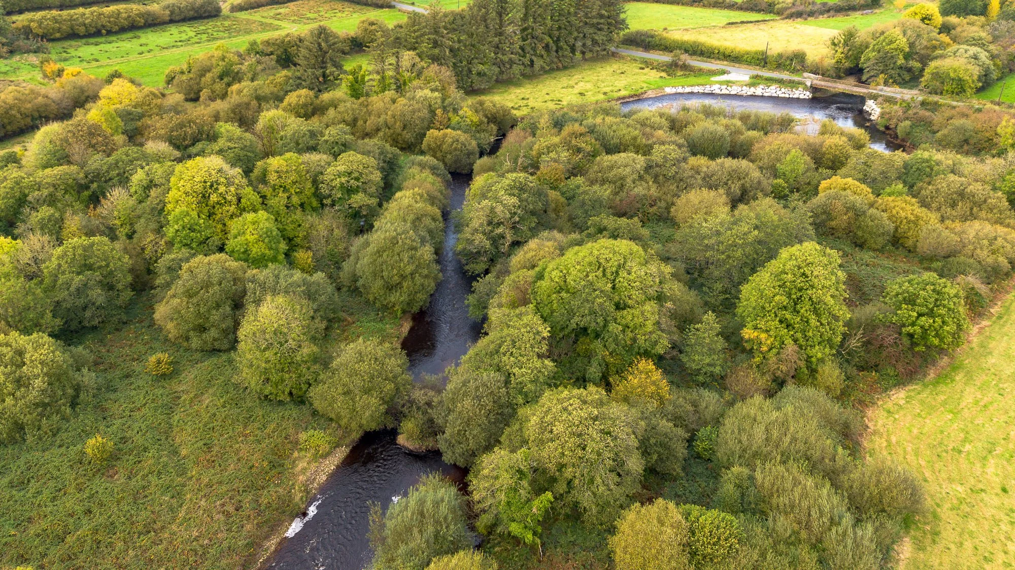 Copy of Drone_Owveg_Oct_24 (1 of 12).jpg