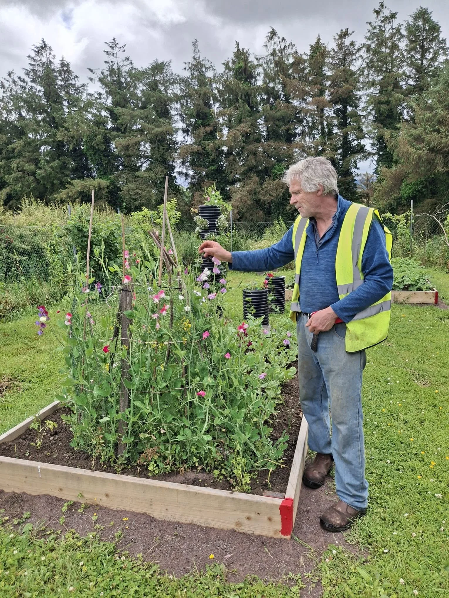 community garden.jpg
