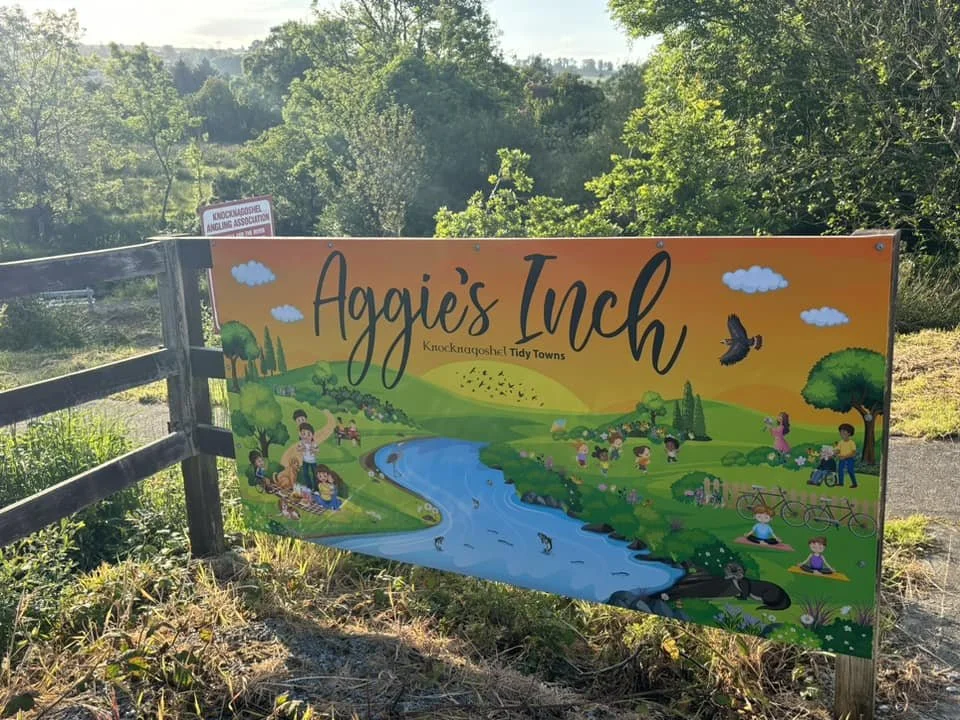 Colorful illustrated sign for Aggie's Inch in Knockingoshet Tidy Towns, depicting a river flowing through green landscape with trees, people sitting, biking, and practicing yoga, under a sky with clouds and birds.