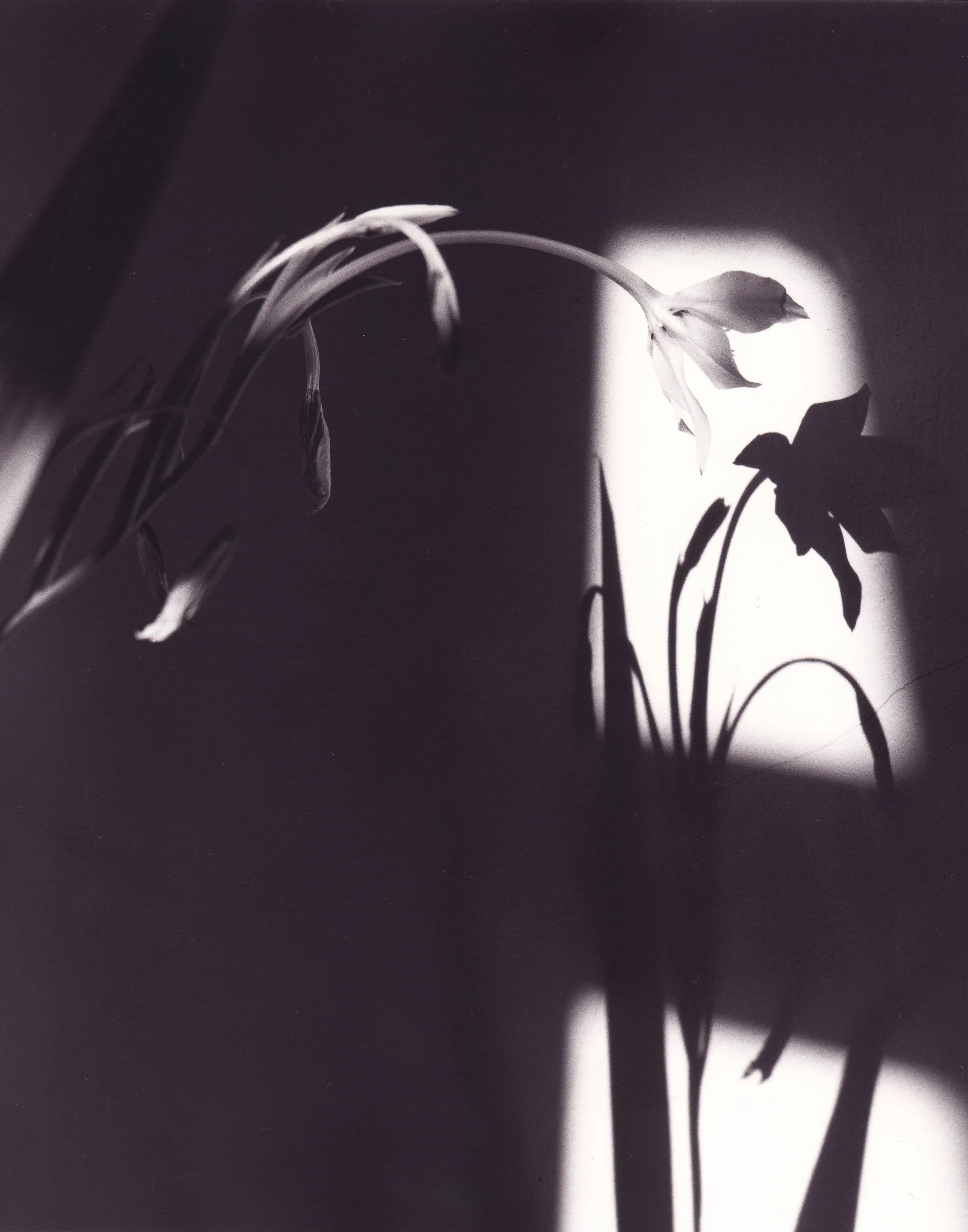 Liminal