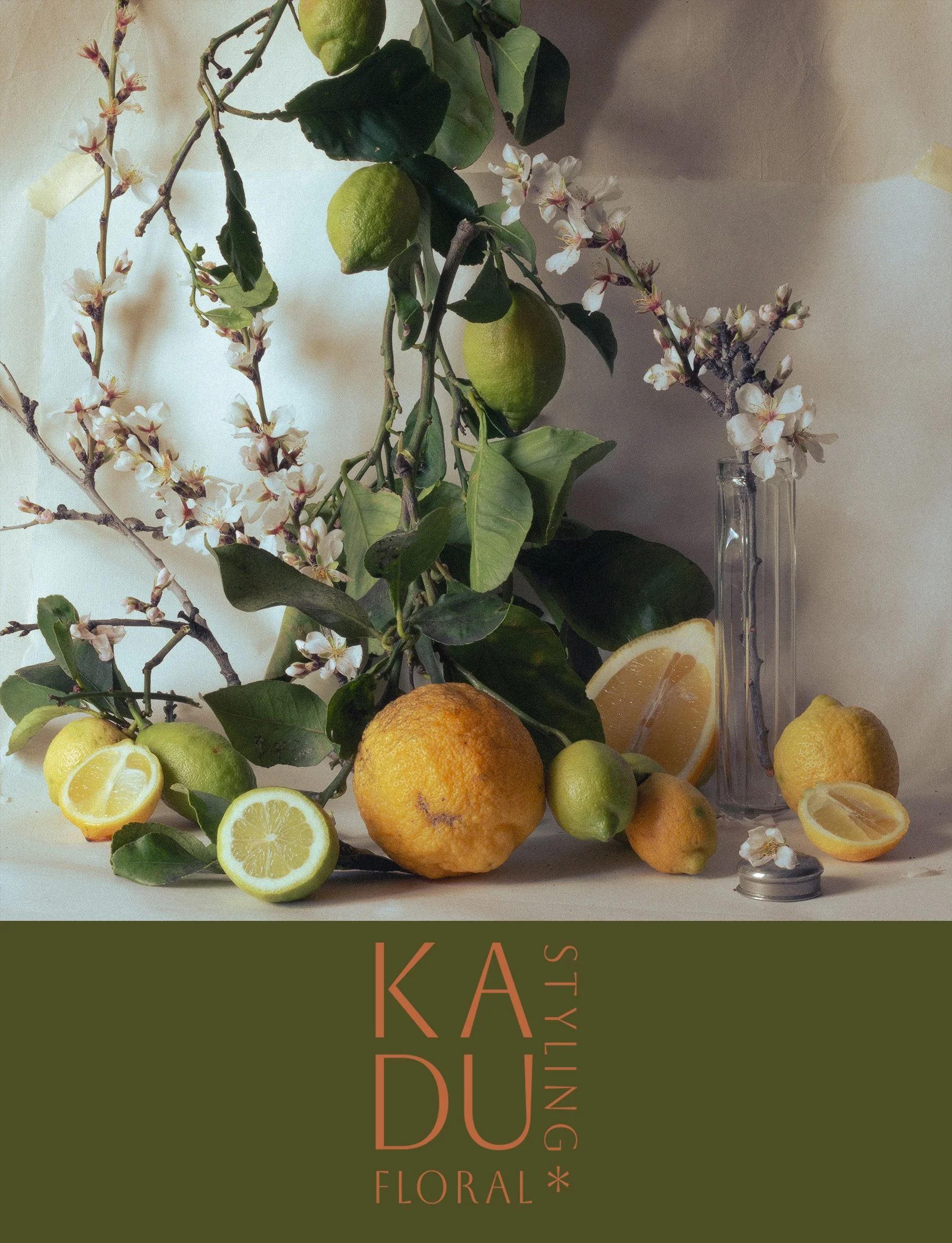 KADU DISEÑO VERTICAL .jpg