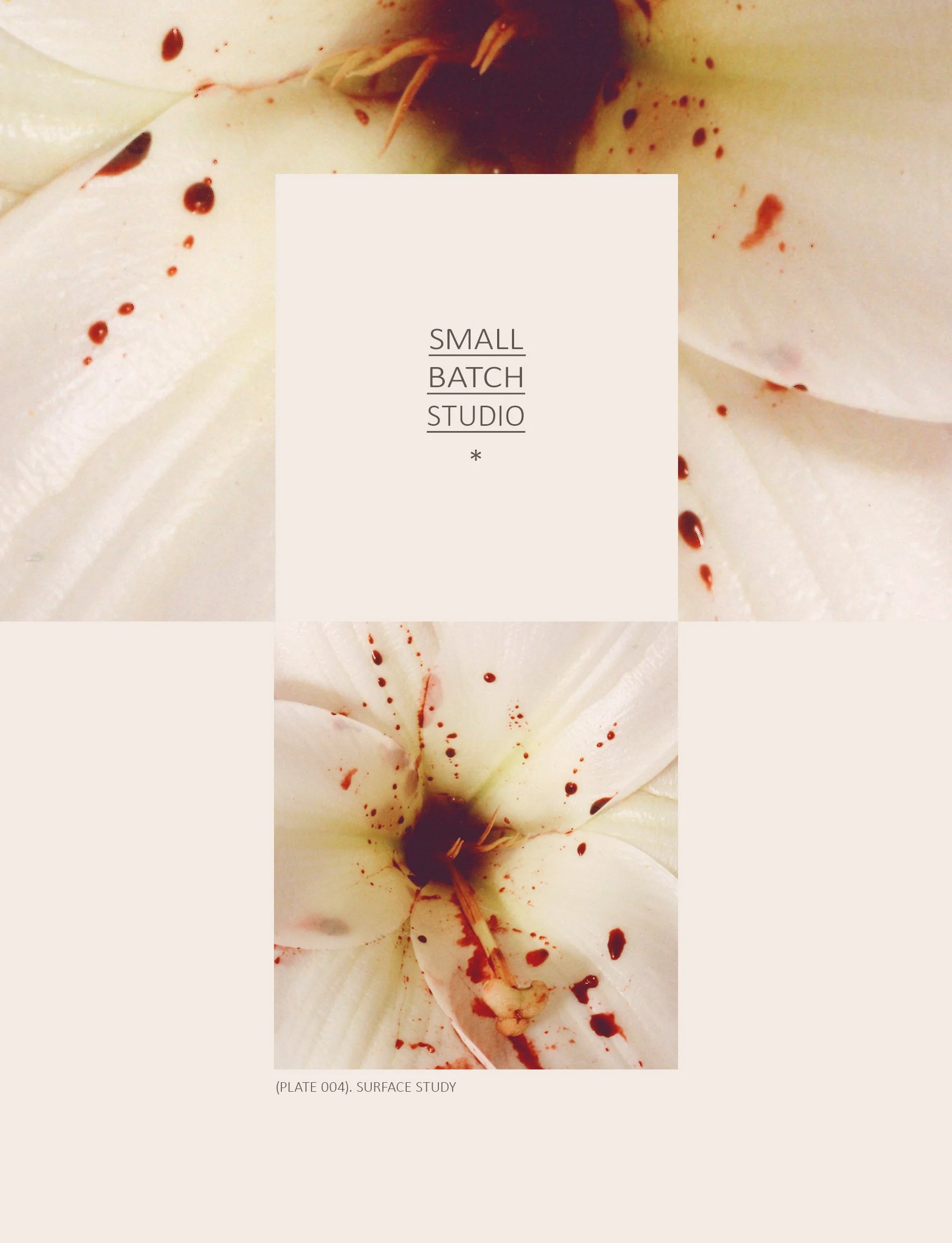004 SURFACE STUDY.jpg