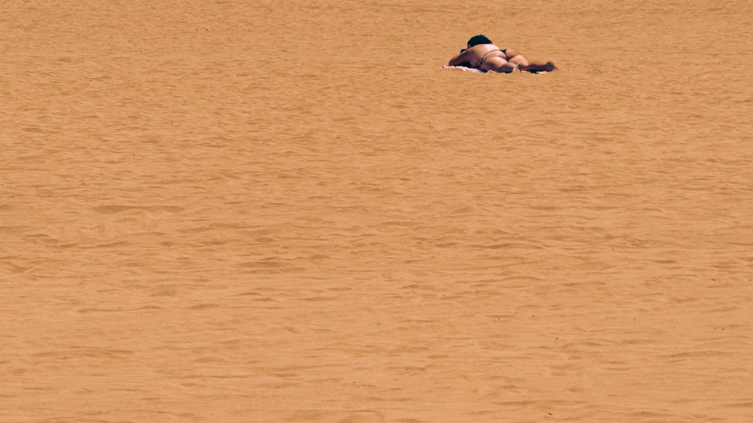 _FMR8488.jpeg