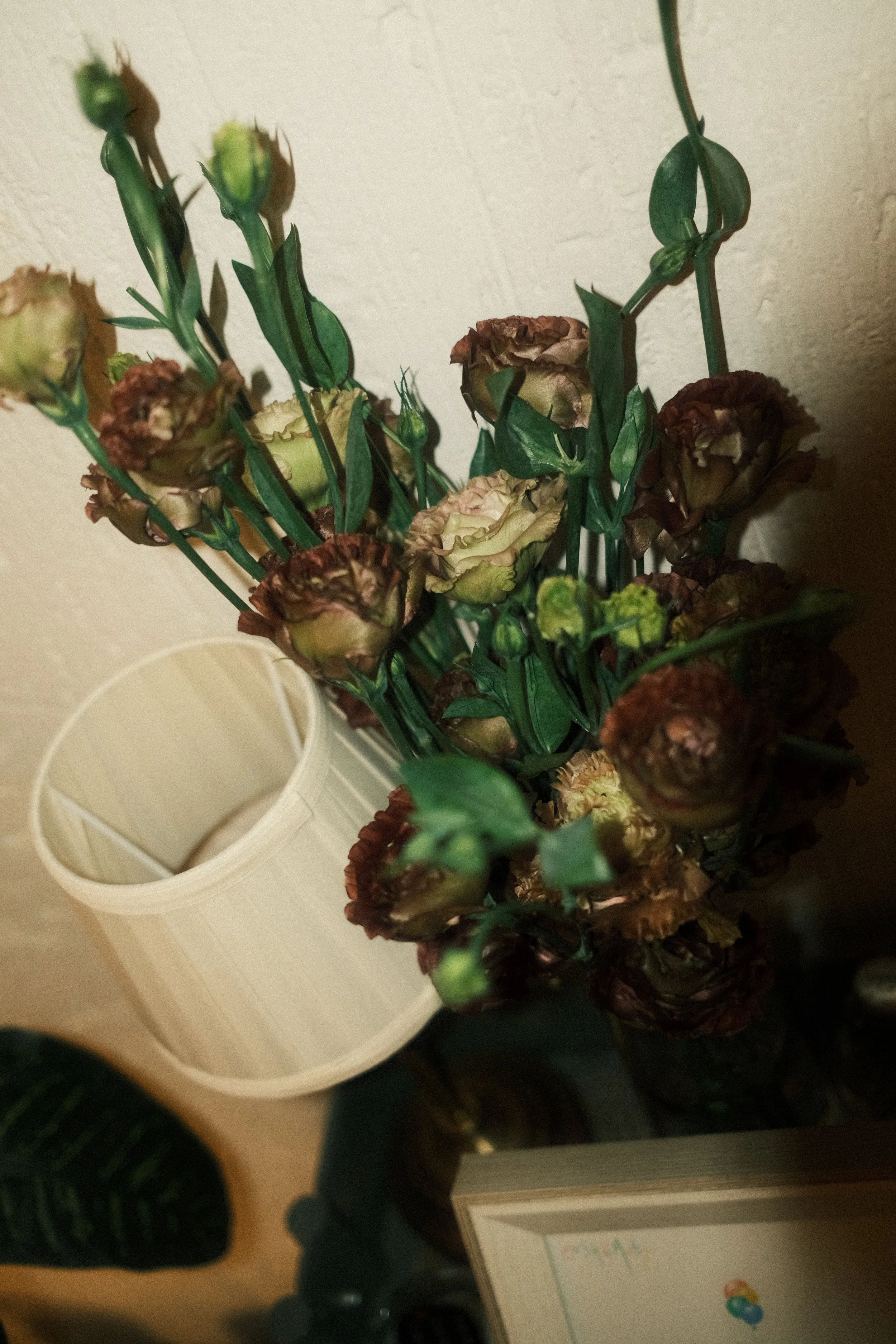 DSCF0262.JPG