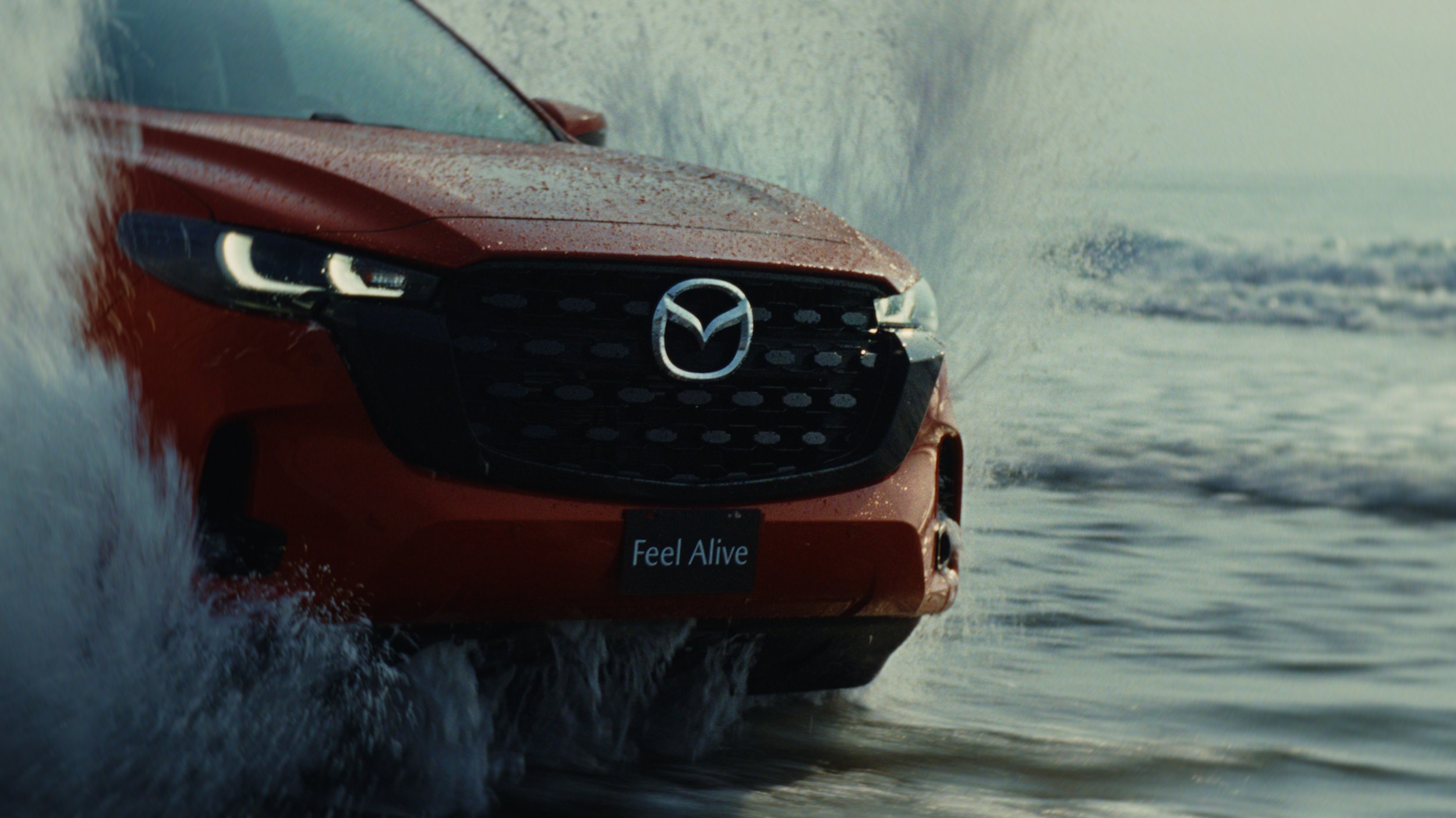 Still 2025-11-07 161702_1.5.1 copy.jpg