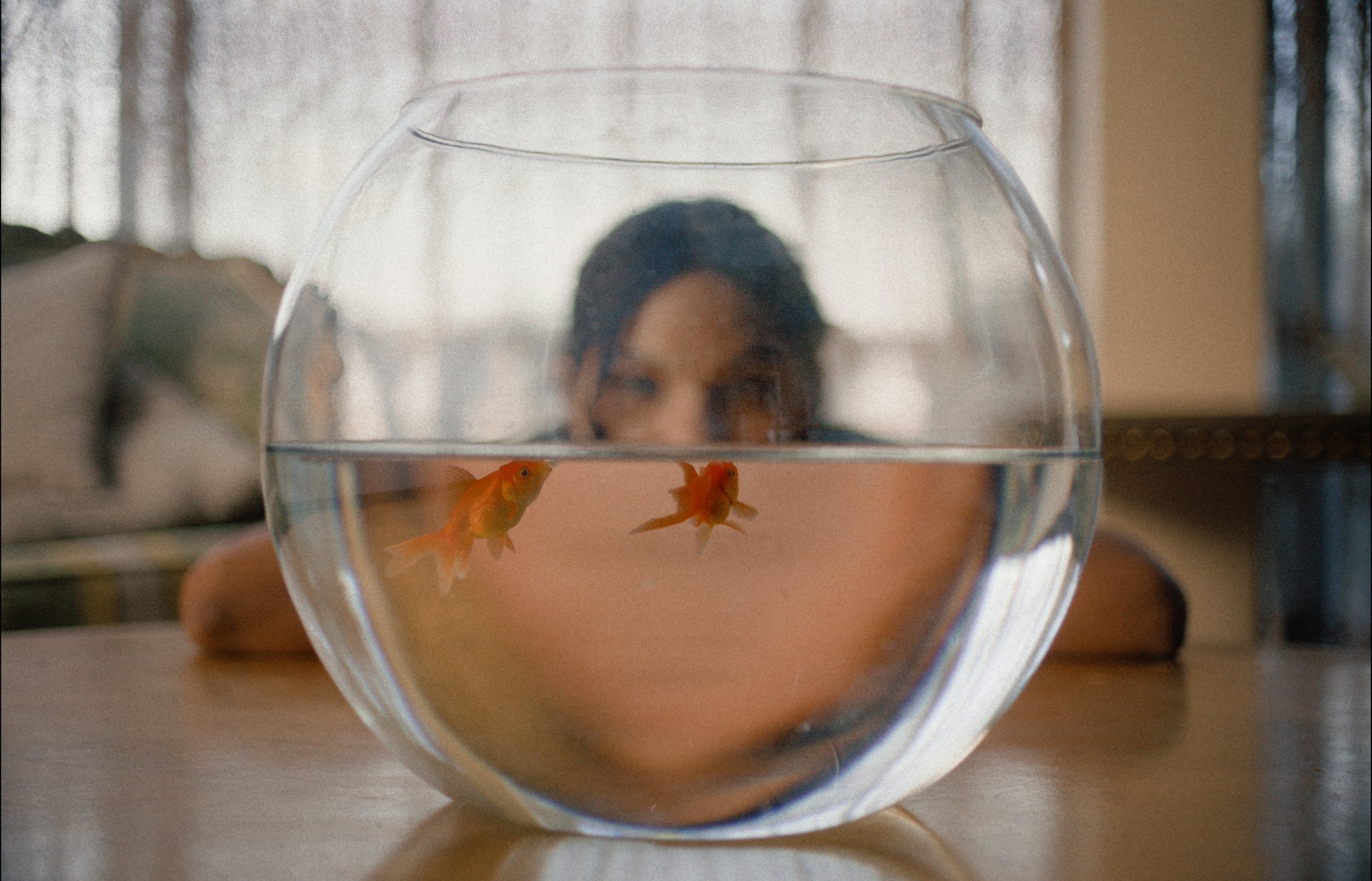 default_1.7.2 copy.jpg