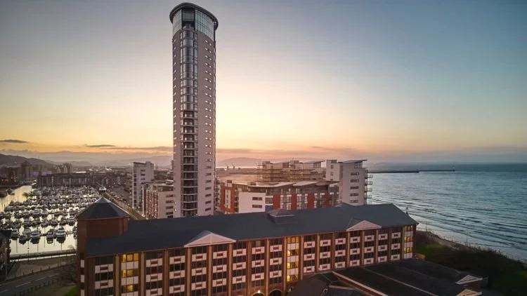 A field of white daisies with yellow centers, some flowers facing different directions, in a natural setting during evening or late afternoon with warm lighting.