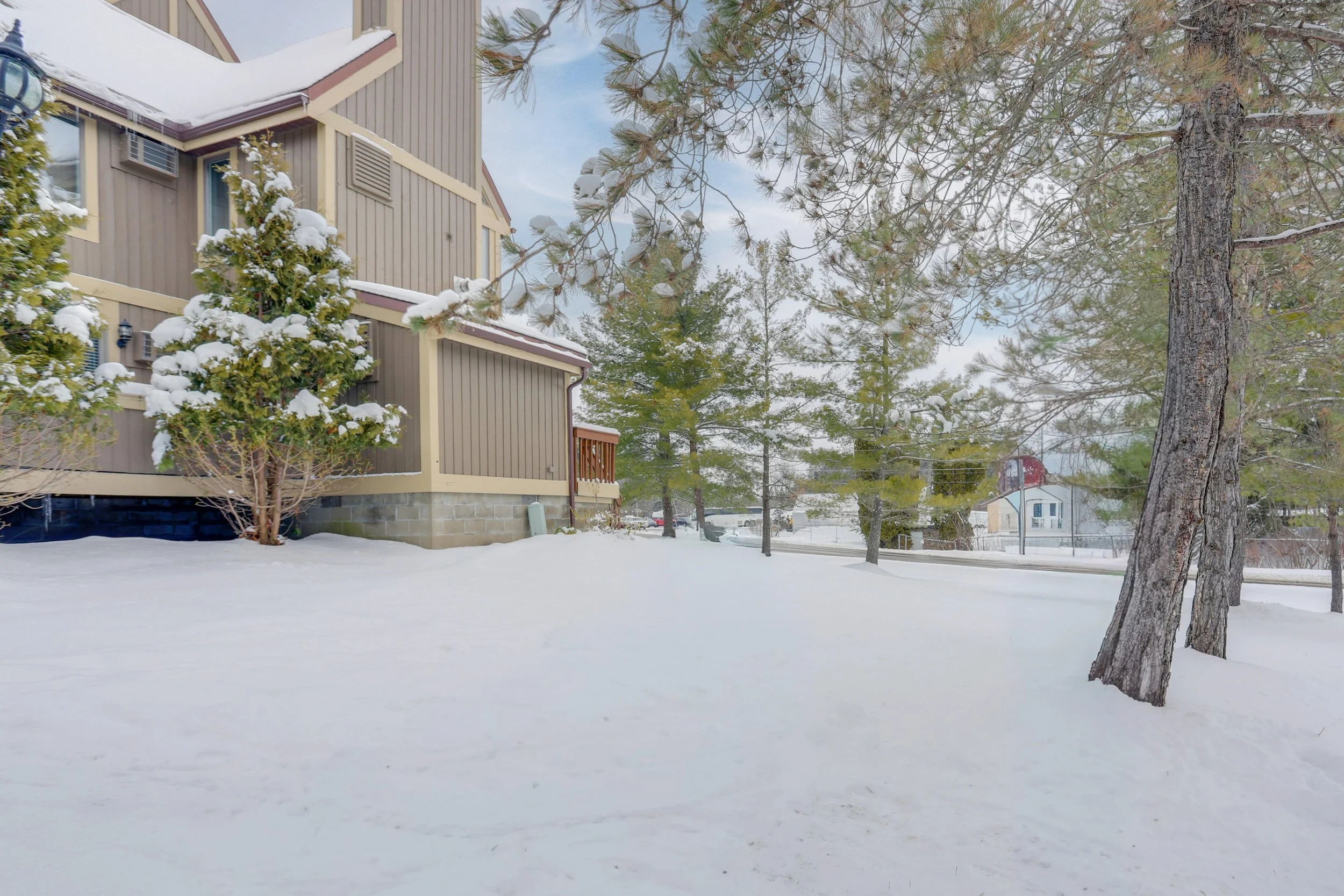 Snow-covered backyard with a house, evergreen trees, and a basketball hoop in the distance.