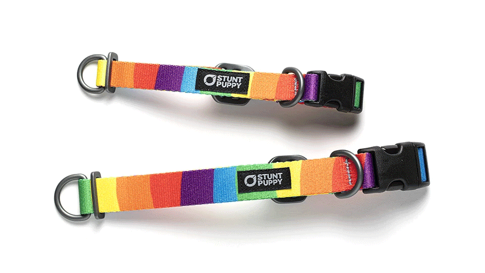 Two rainbow-colored adjustable pet collars with black buckles and metal rings, branded 'Stunt Puppy'.