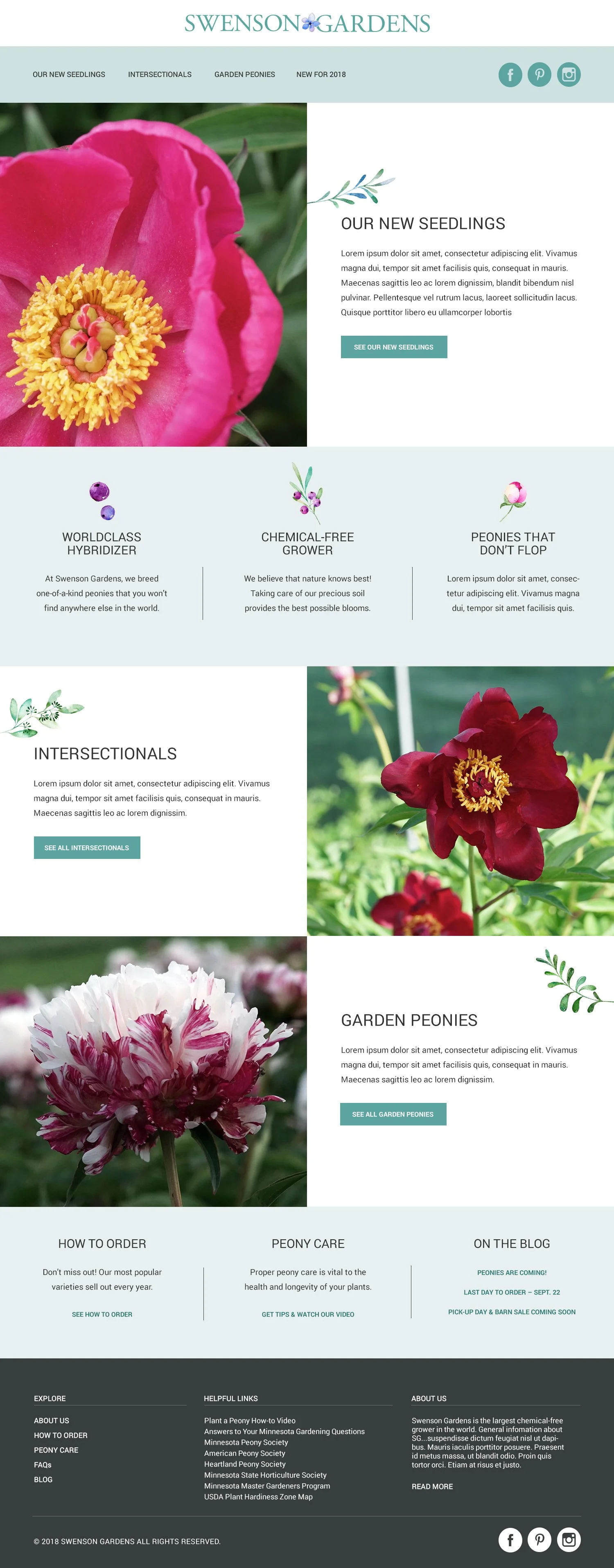 Screenshot of Swenson Gardens website showcasing colorful peony flowers and information about new seedlings, hypertidizer, and peony care.