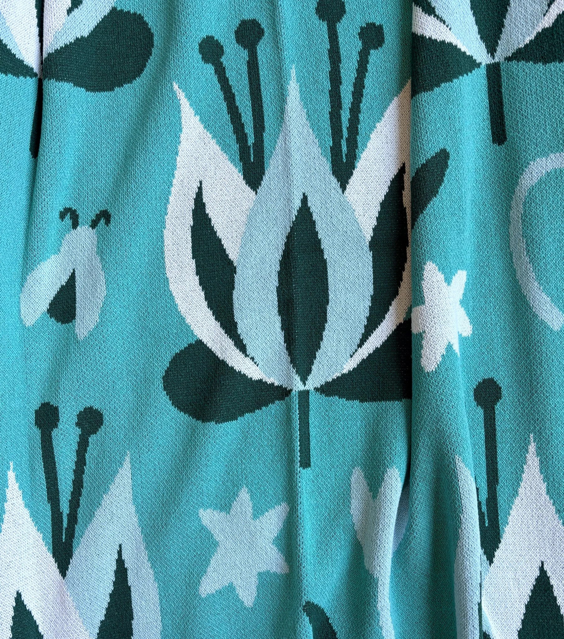 Bluebell_Closeup.jpg