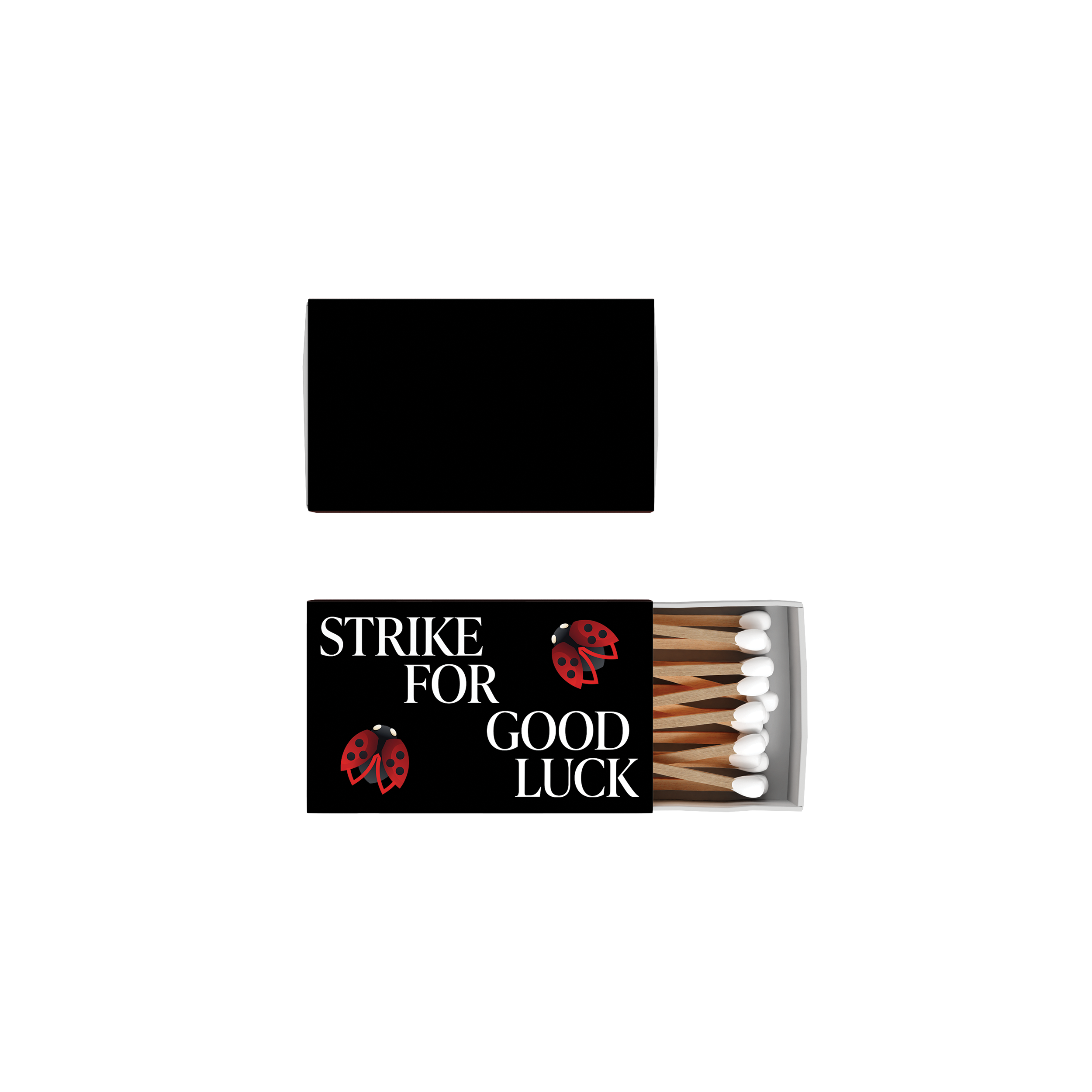Lucky Ladybug Matchbox