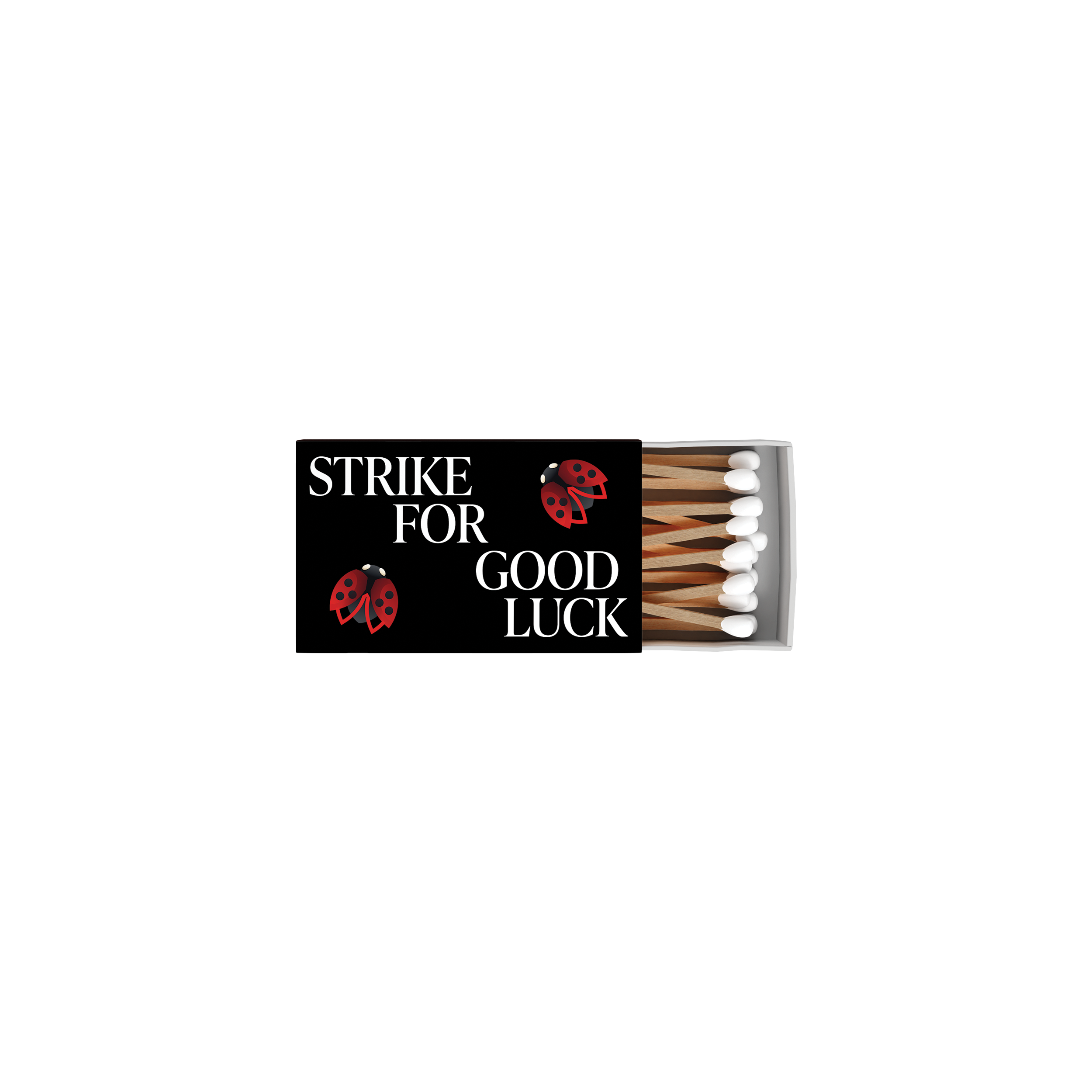 Lucky Ladybug Matchbox 2.png