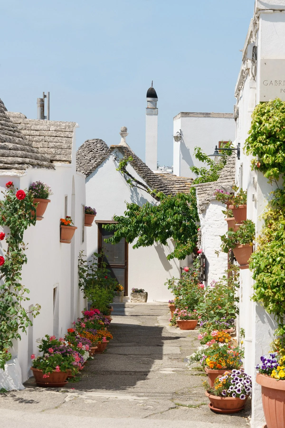puglia-alberobello-main.jpg