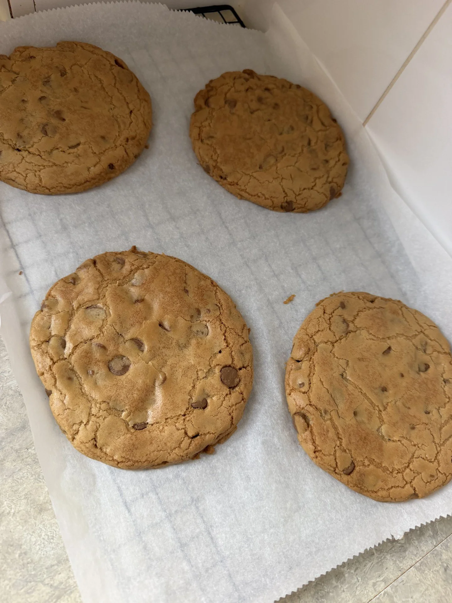 Choc Chip Cookie