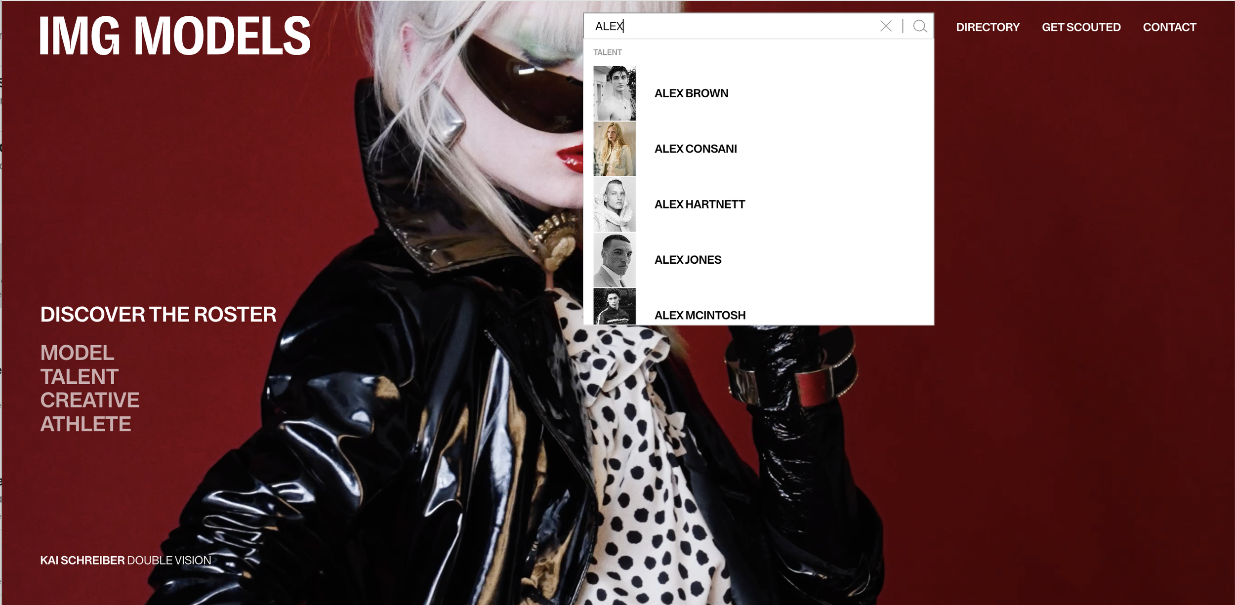 IMG Models - Search Feature