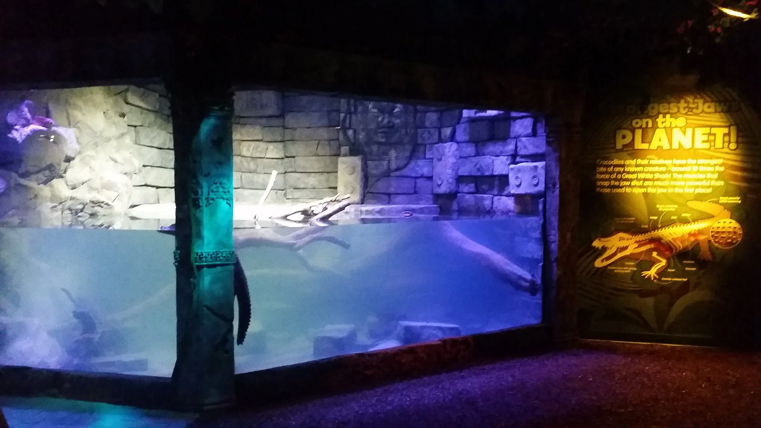 SeaLife Rainforest Pic2.jpg