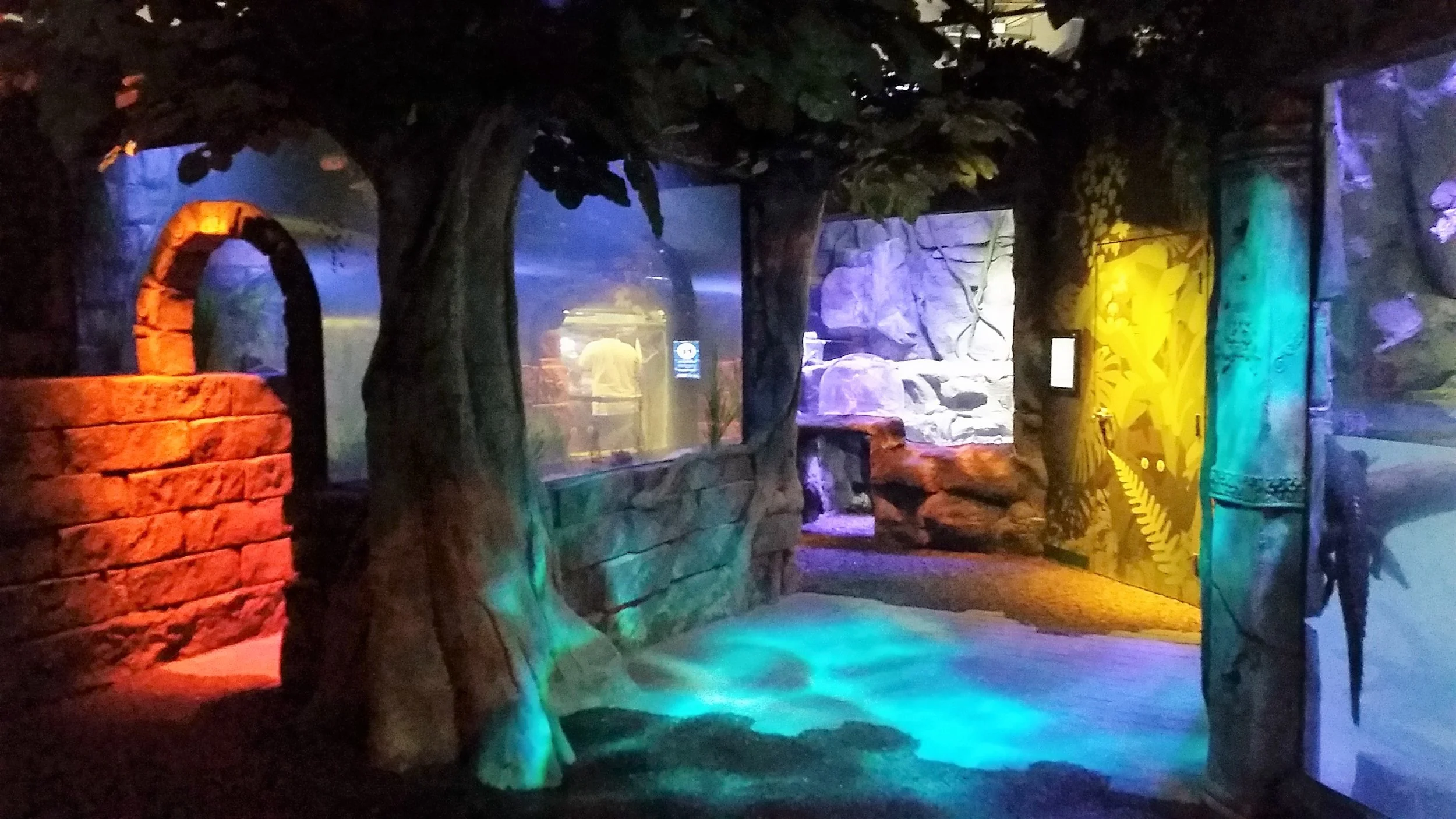 SeaLife Rainforest Pic3.jpg