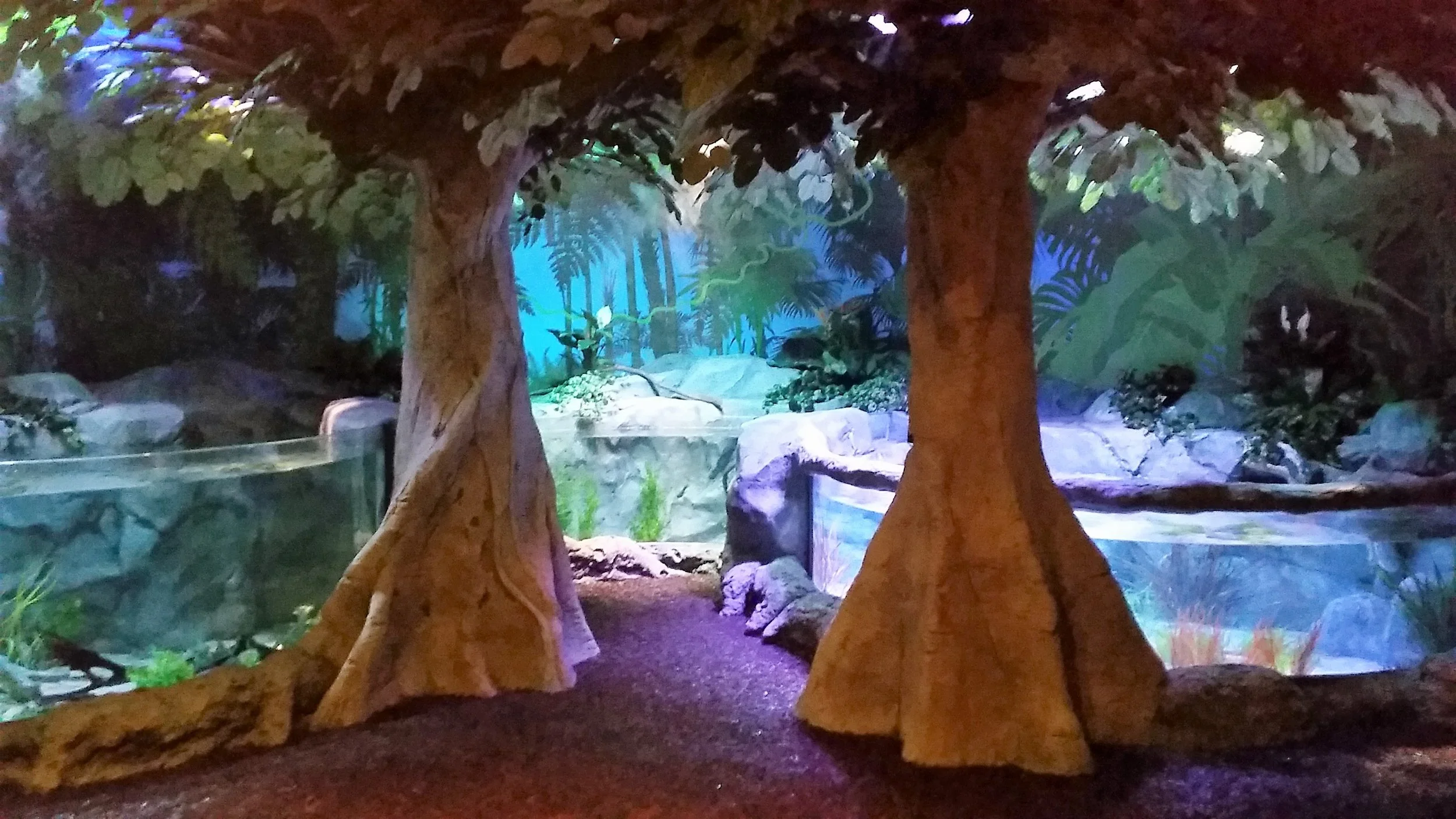 SeaLife Rainforest Pic4.jpg