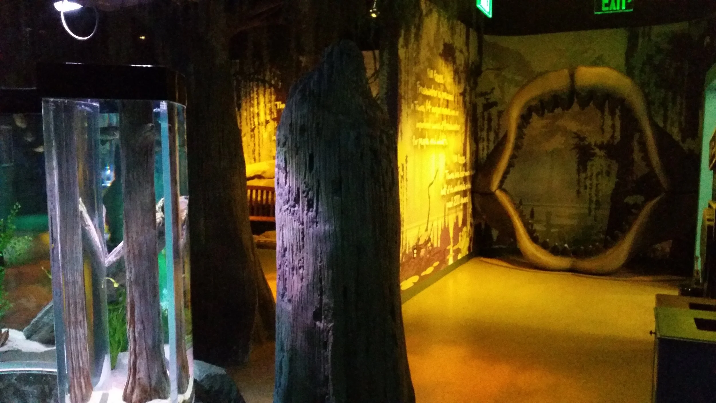 Exhisting Attraction 5.jpg