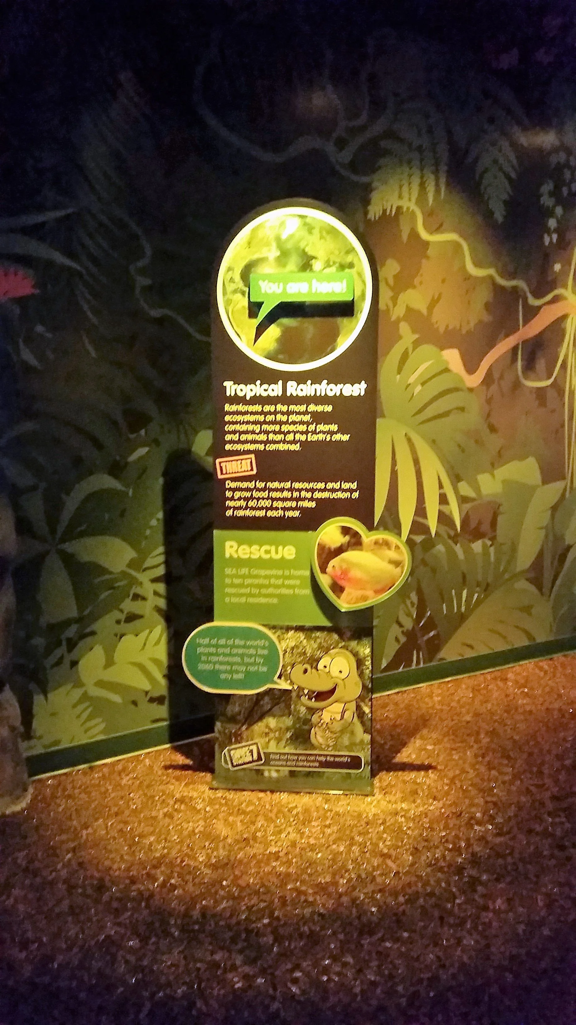 SeaLife Rainforest Pic5.jpg