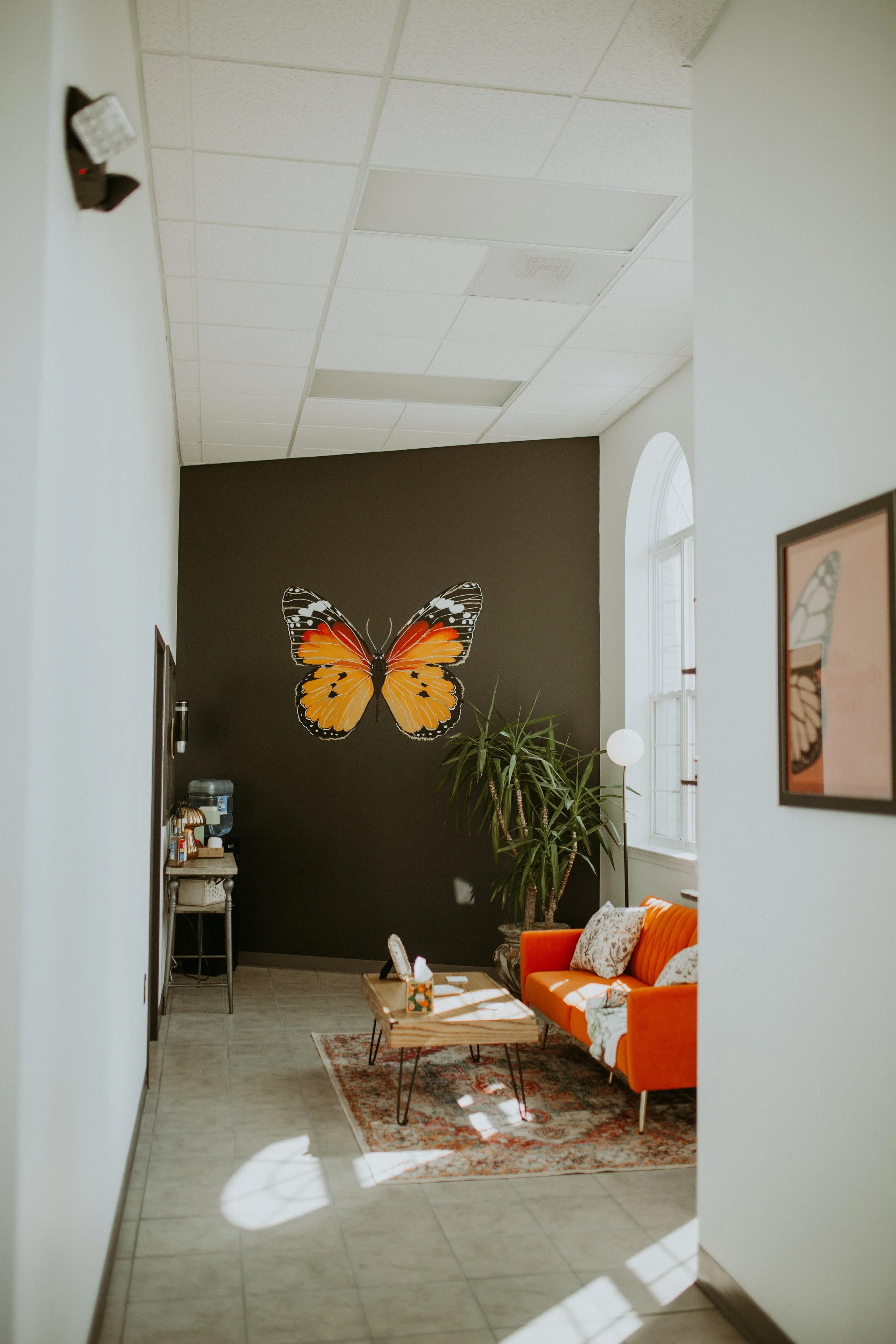 Indoor waiting area with an orange sofa, a wooden coffee table, a large potted plant, butterfly wall art, and framed butterfly art on the wall, illuminated by natural light from a window.