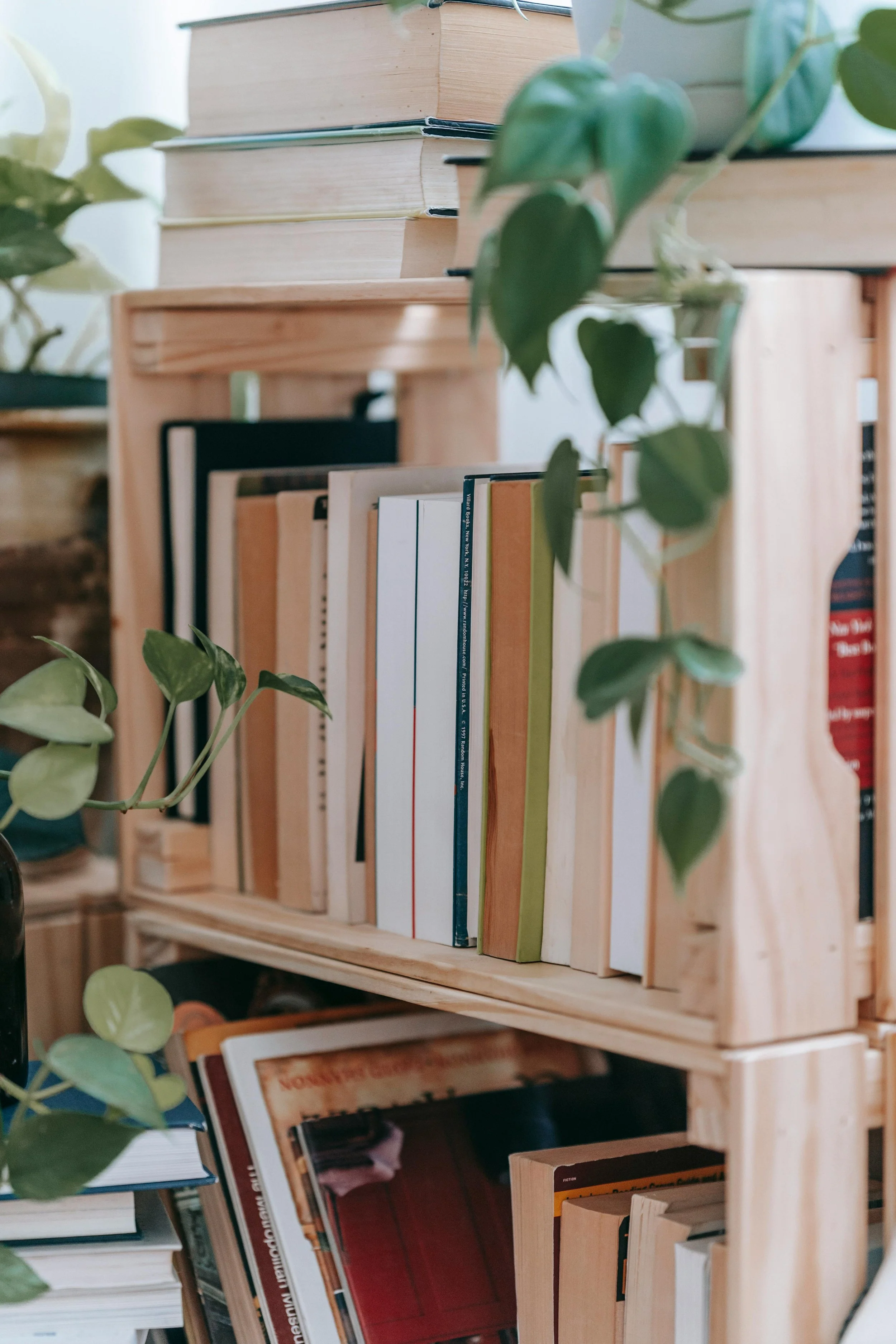 Wooden bookshelf filled with various books and green plants.