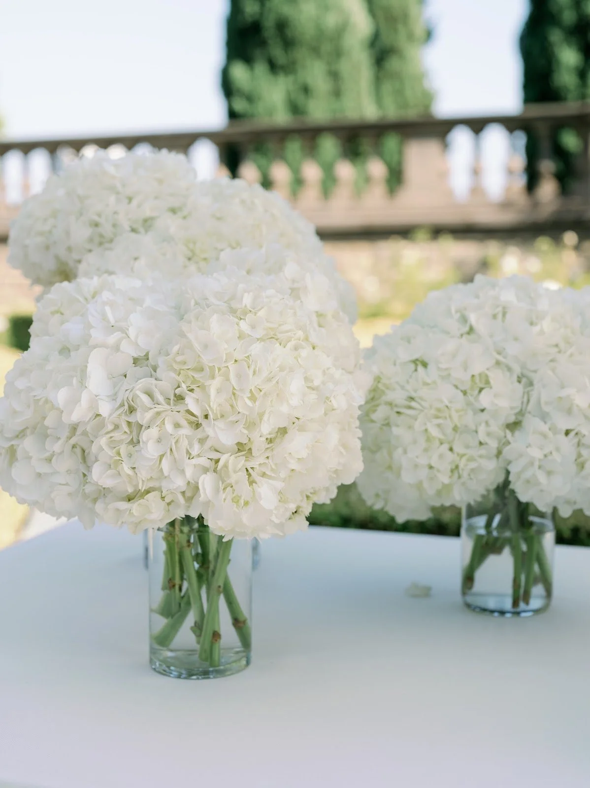 Samantha  Price Jarman-Liz Andolina Photography-0602.jpg